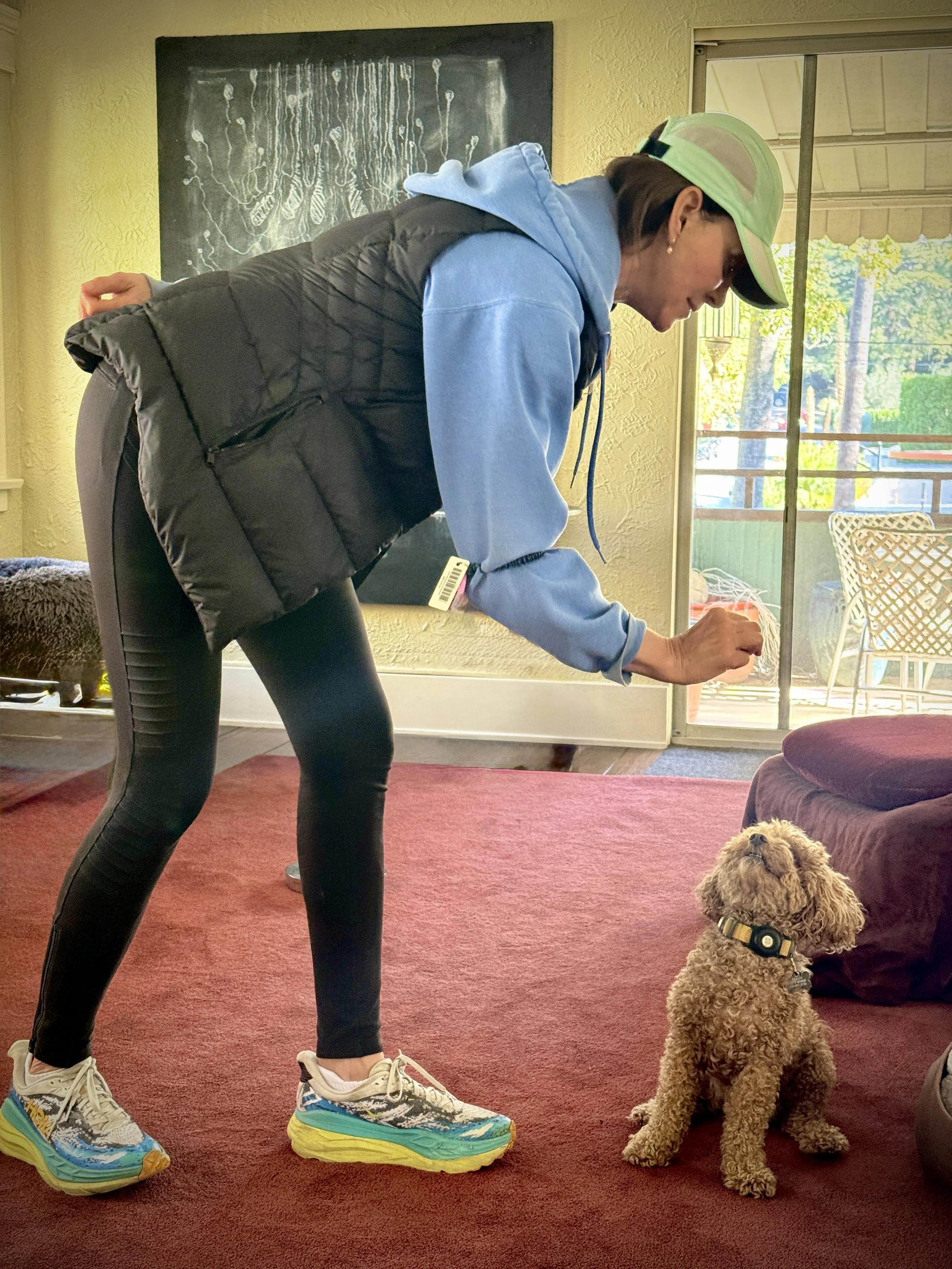 A woman in athletic clothing and colorful sneakers training a small brown dog indoors near a sliding glass door.