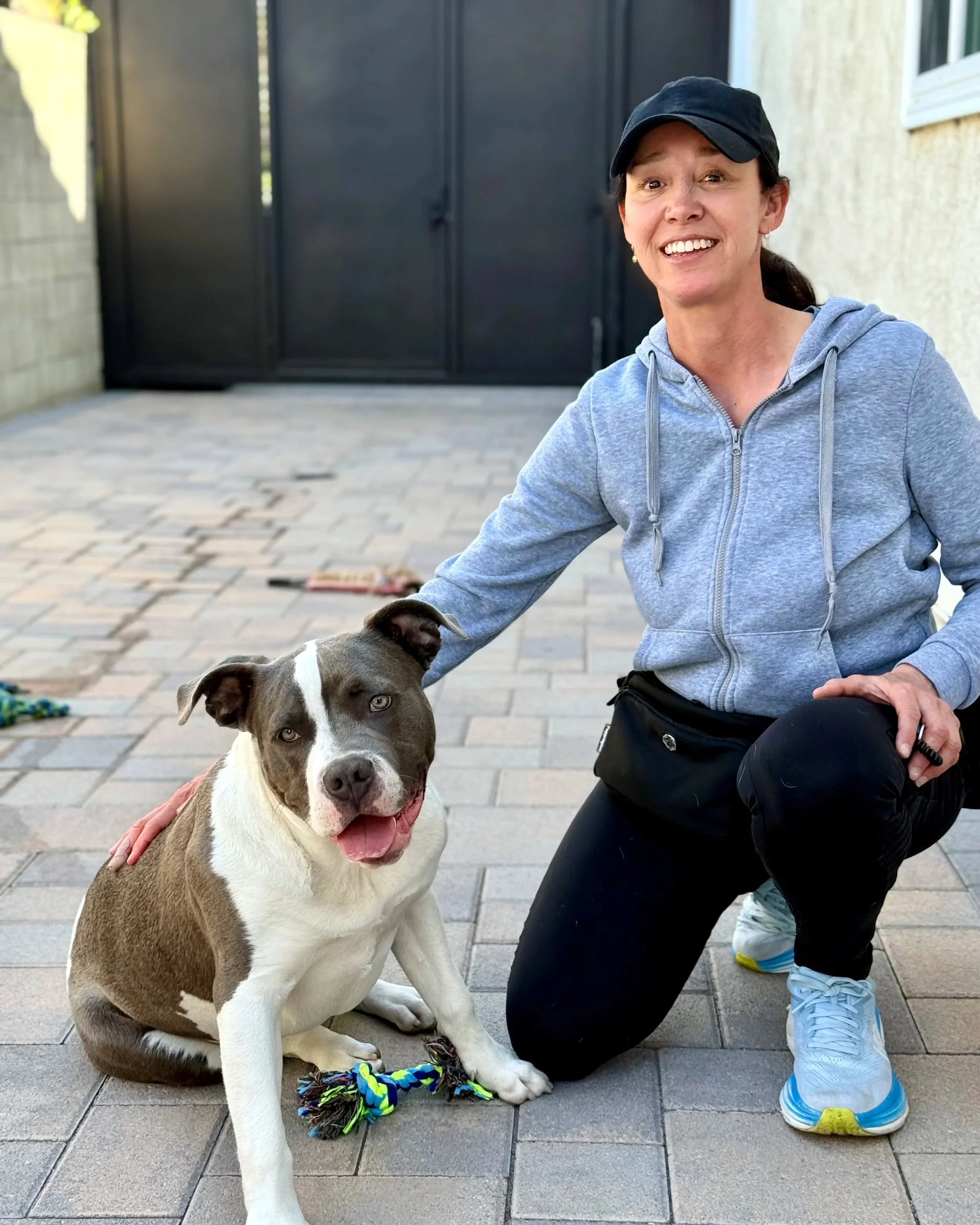 Private dog training with Lead Trainer, Adelita Alvarez, in the comfort of your home or park.