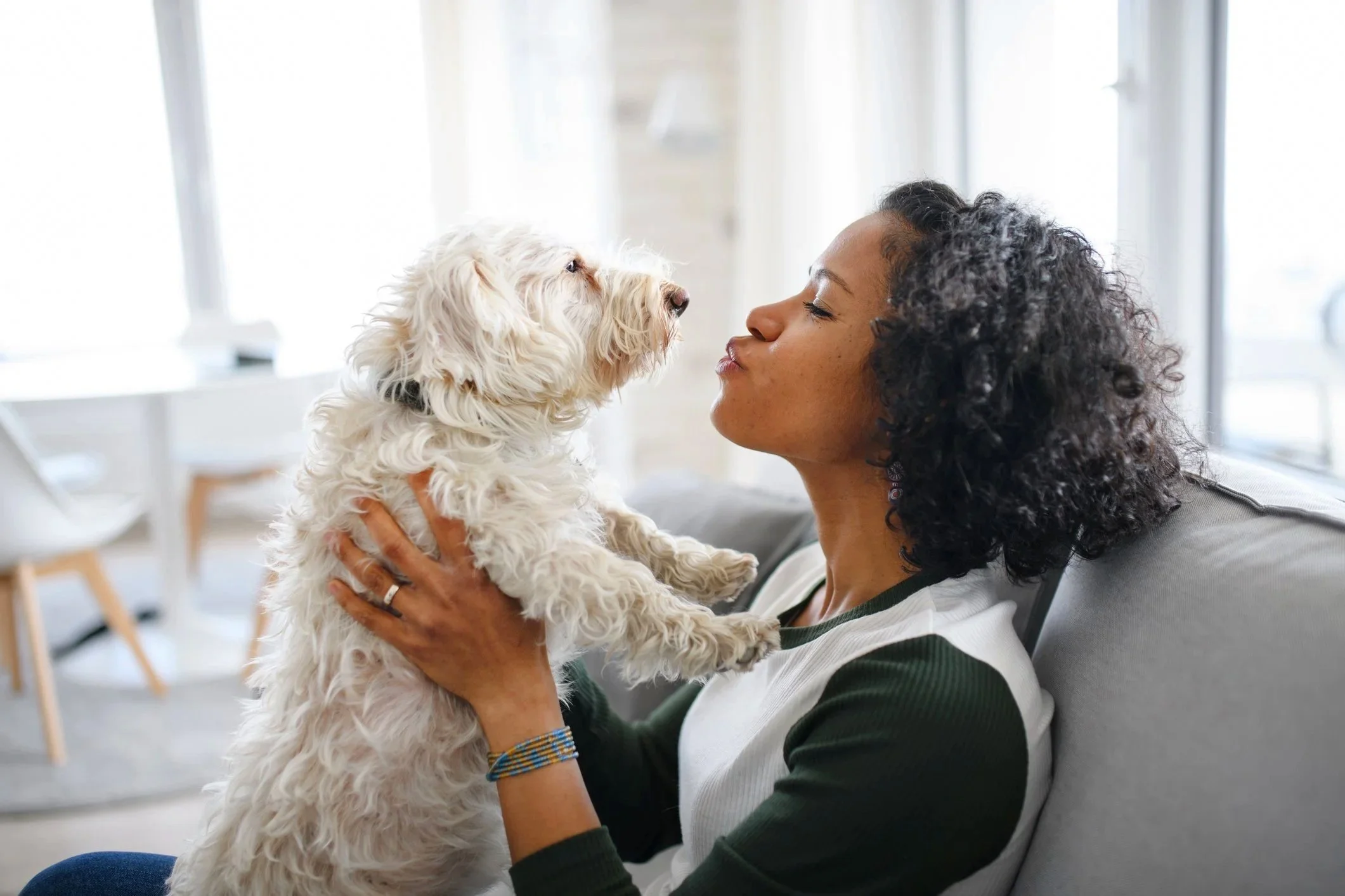 Woman holding and kissing a fluffy white dog on the couch in a bright living room. Good Dog K9 Training and Services®, LLC is a federally trademarked, small business in the Burbank, Toluca Lake, Studio City, Sherman Oaks and Los Angeles areas.