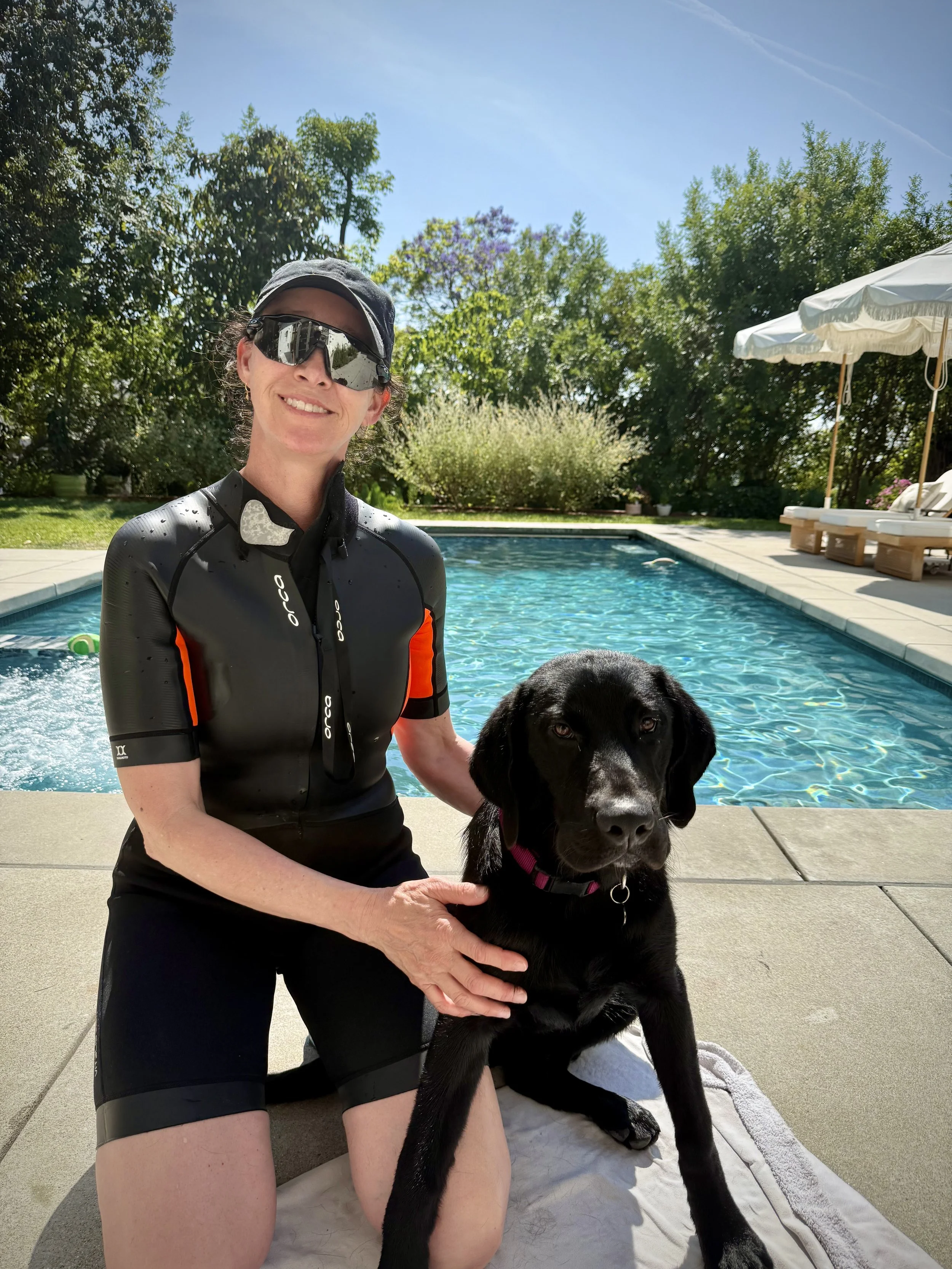 Critical pool training for dogs is available with Good Dog K9 Training and Services
