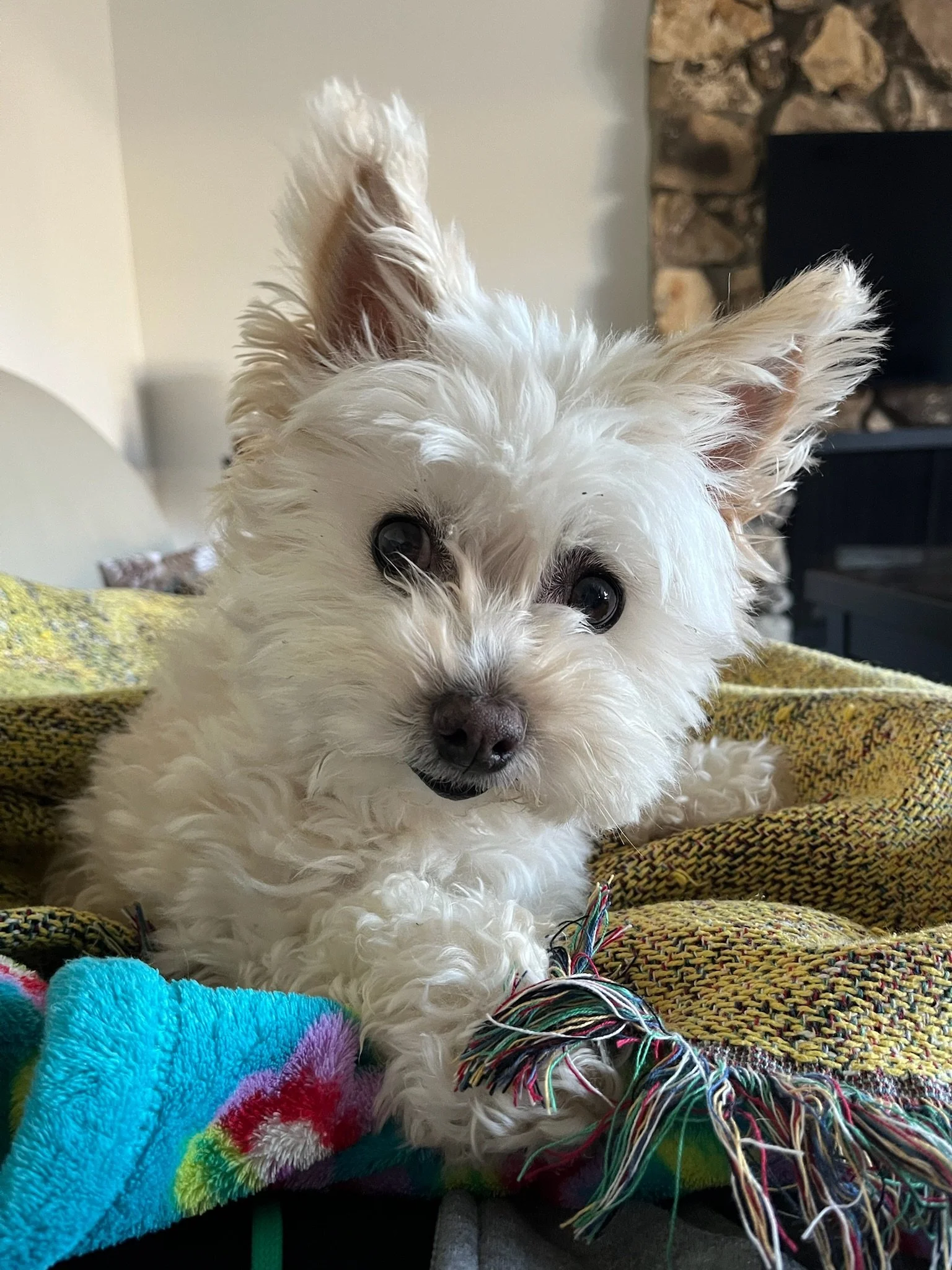 When the Gain is not Worth the Loss