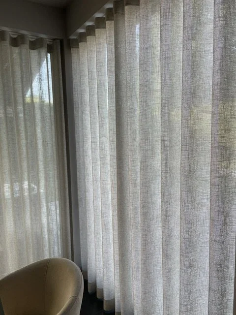 IMG_8911.jpeg