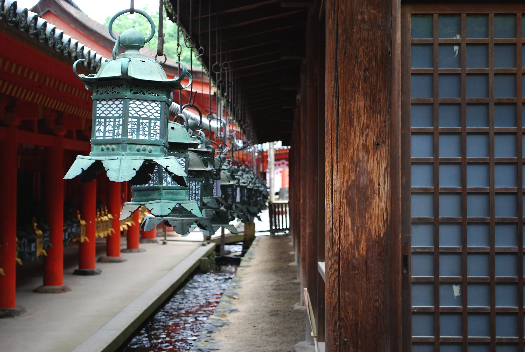Lantern-lined corridor at a Japanese shrine