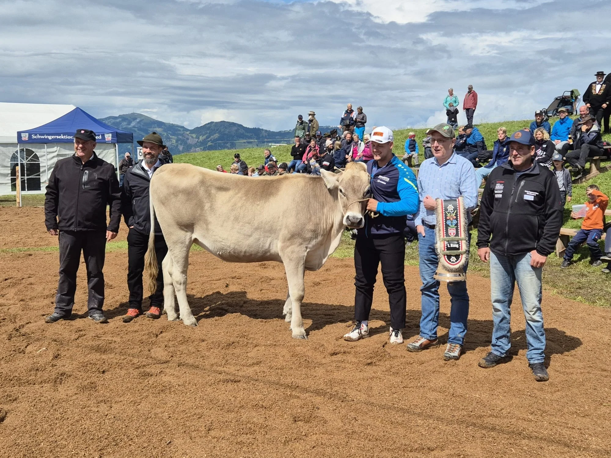 WhatsApp Image 2025-08-02 at 16.12.32(2).jpeg