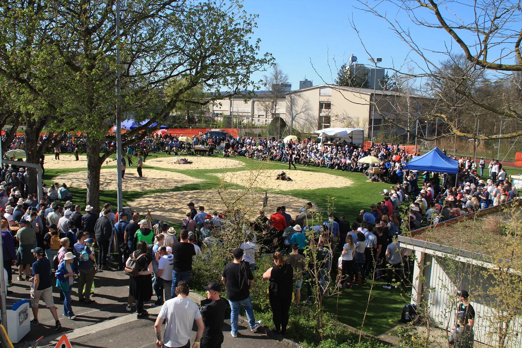 Vier Eidgenossen am Surentaler Frühjahrsschwinget