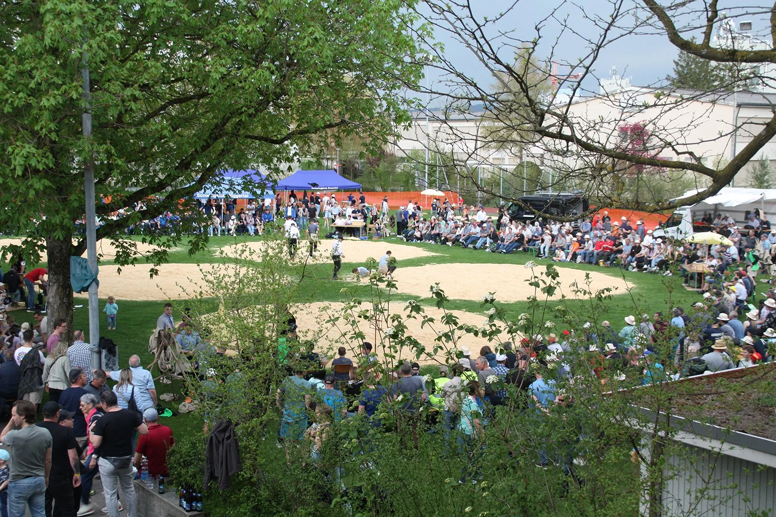 Sechs Surentaler Auszeichnungen am Surentaler Frühjahrsschwinget