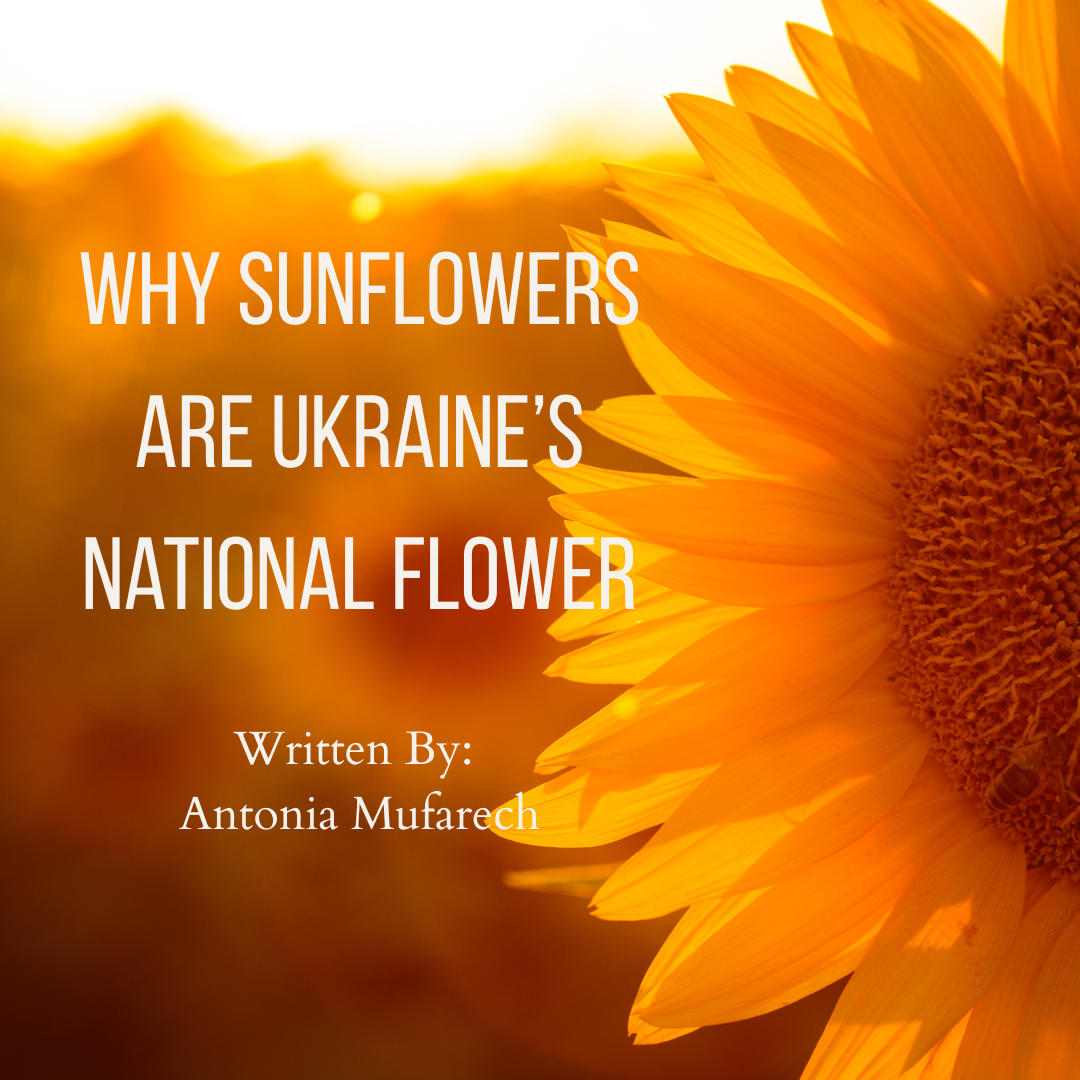 Pocket Rebuttals (10).png