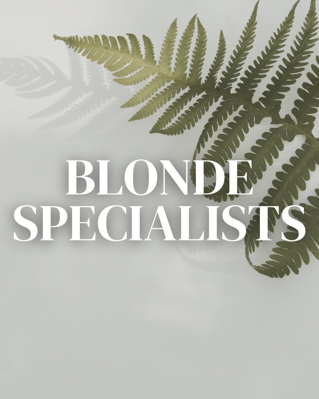 Are you a blonde and looking for a better way to care for your hair?

Blonde Specialists are hairstylist that have gone the extra mile to understanding all the blonde services. Usually these include; blonde builder, root melt, gloss, different lighte