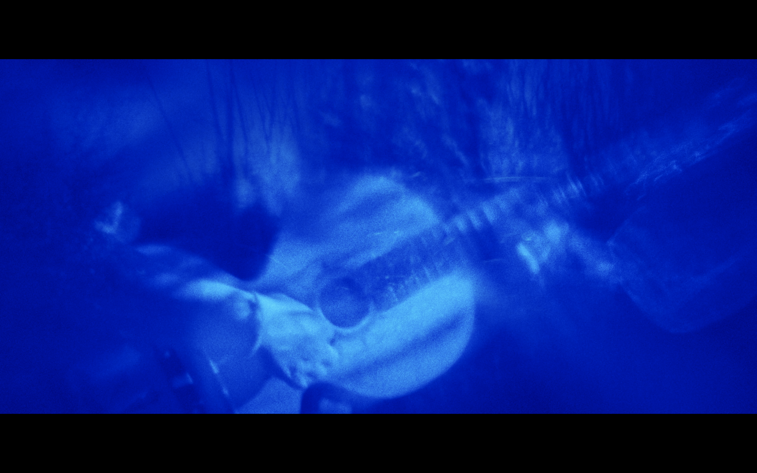 Screenshot 2026-01-01 at 15.06.49.png