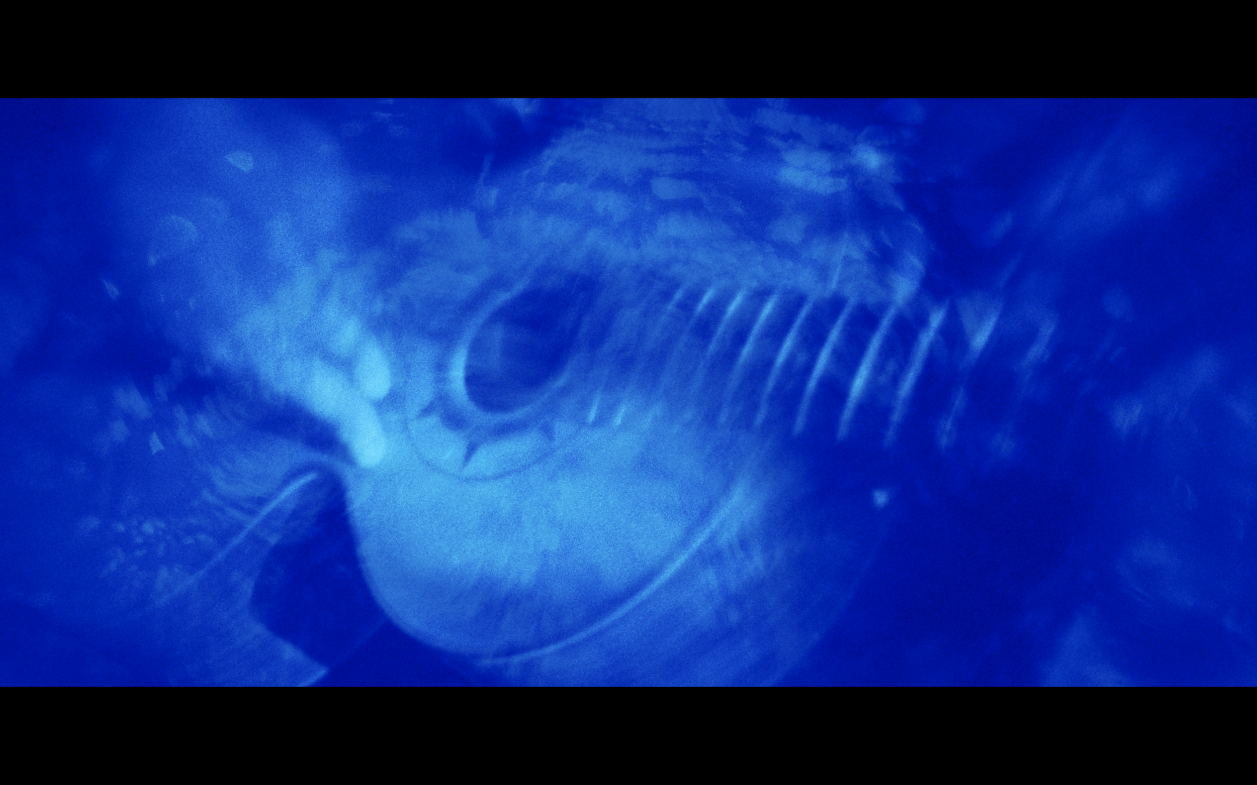 Screenshot 2026-01-01 at 15.01.41.png