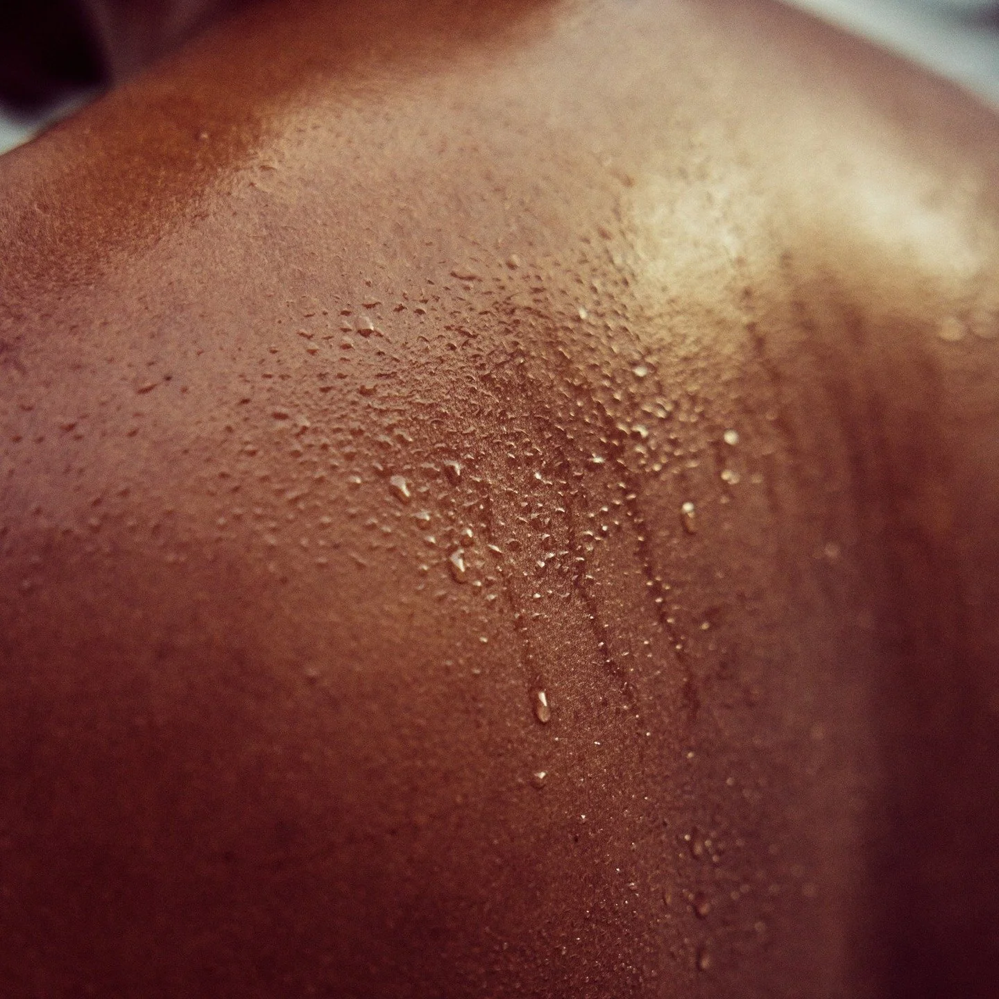We're back! Let your fall ritual continue... Introducing Sweat Sessions starting this Sunday &ndash; November 2. Book a 10a or 11:30a session. 75 minutes to sweat, plunge, and restore. Get all the benefits now at your own pace.