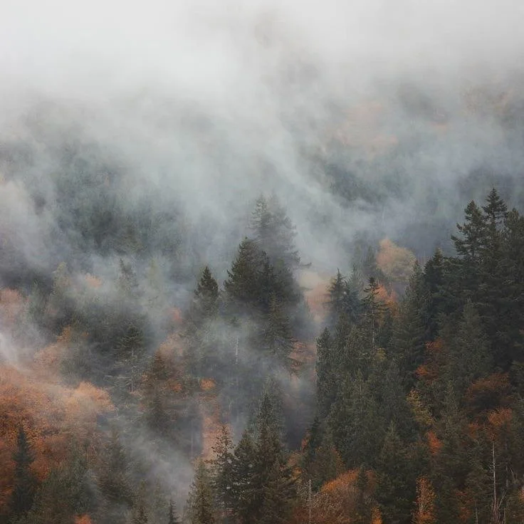 Ease into Autumn with a weekend ritual for releasing and letting go &ndash;&ndash; the natural cycle for inner growth and preparation for what's to come. 

Sweet Sessions are your 75 minutes to flow from hot to cold and to build capacity, at your own