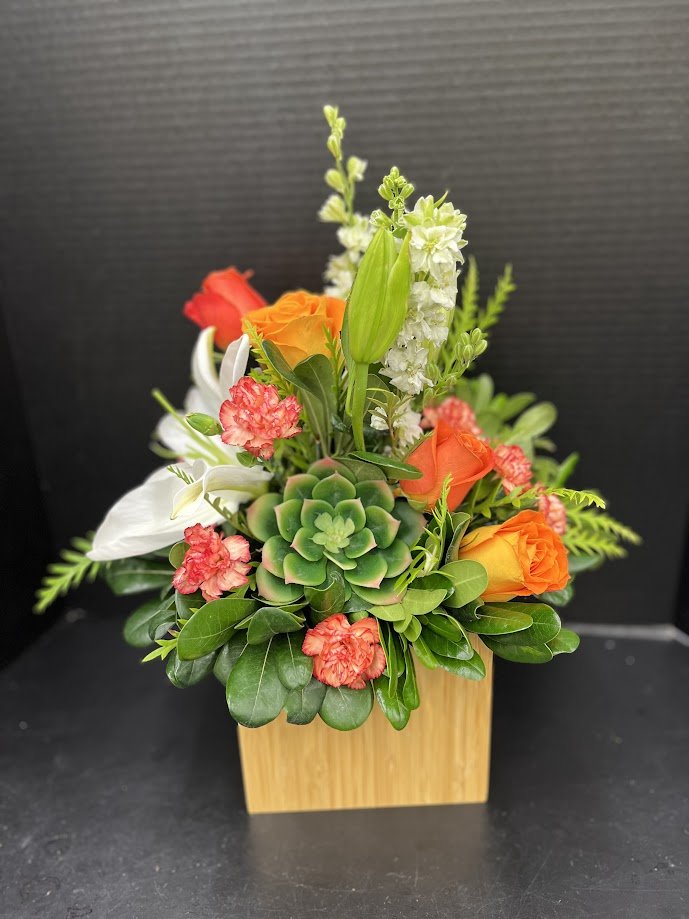 Succulent Box
