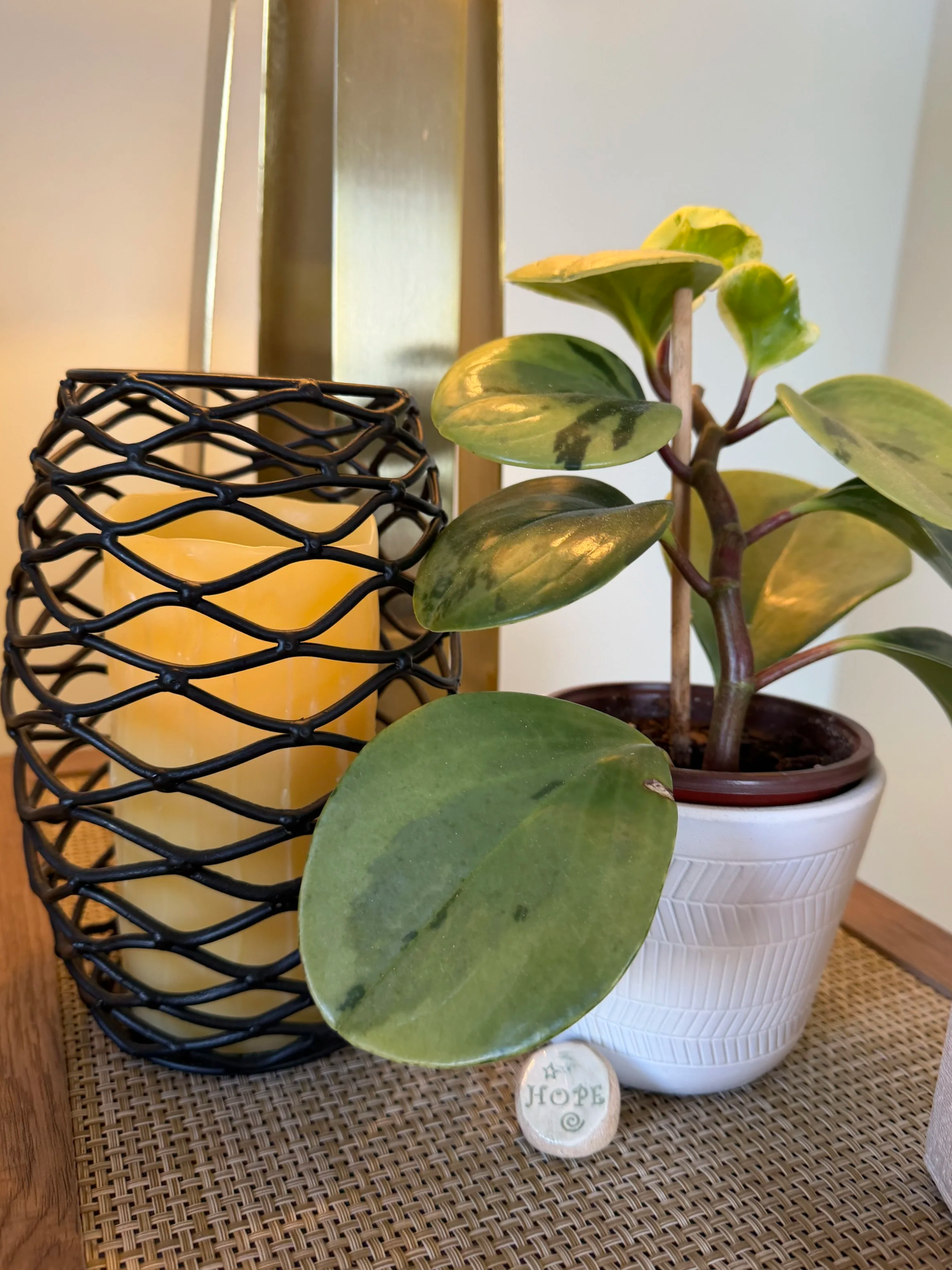 Hope worry stone and plant in psychotherapy office.