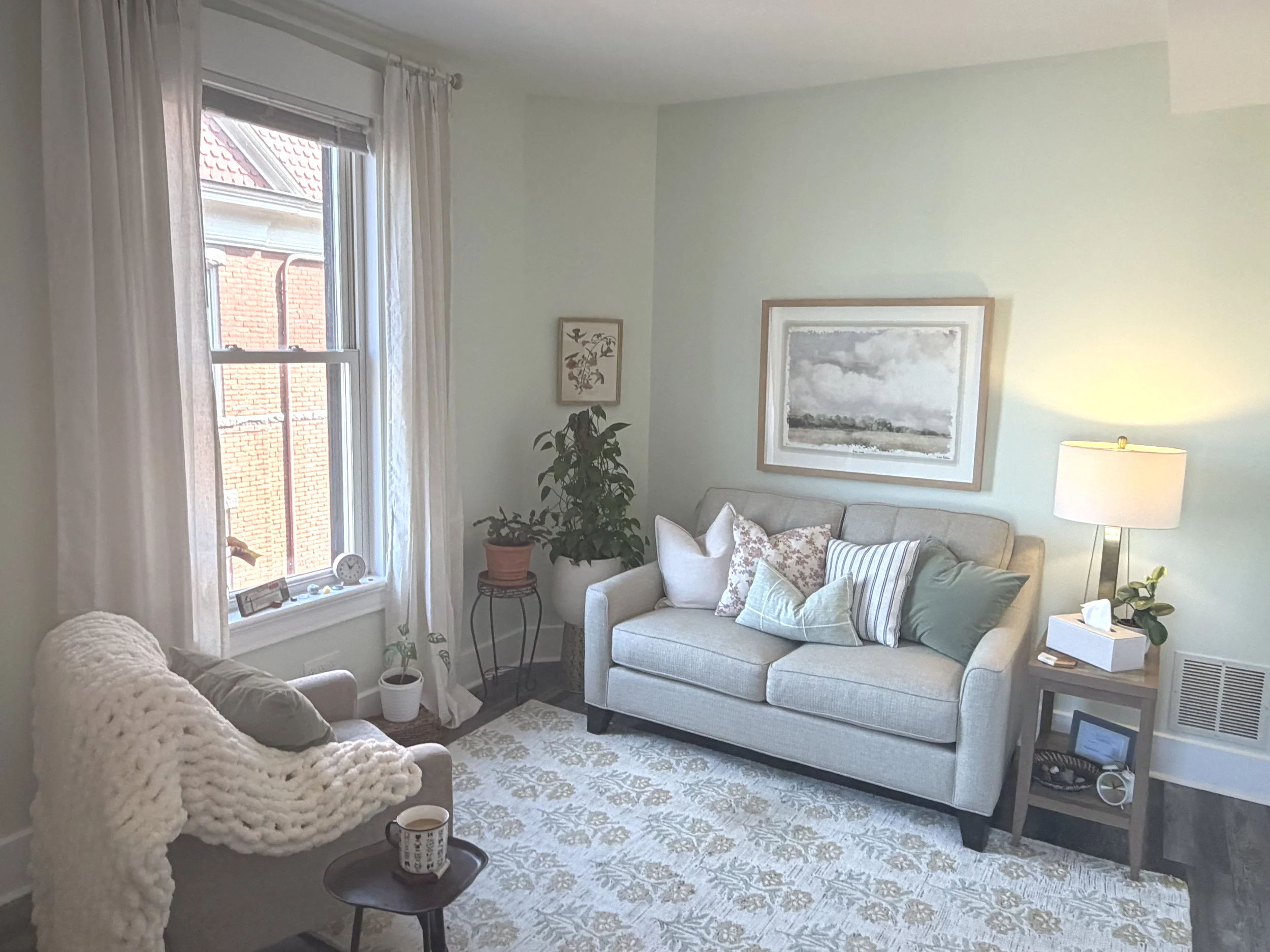 Office for anxiety therapy sessions with comfy couch and green plants.