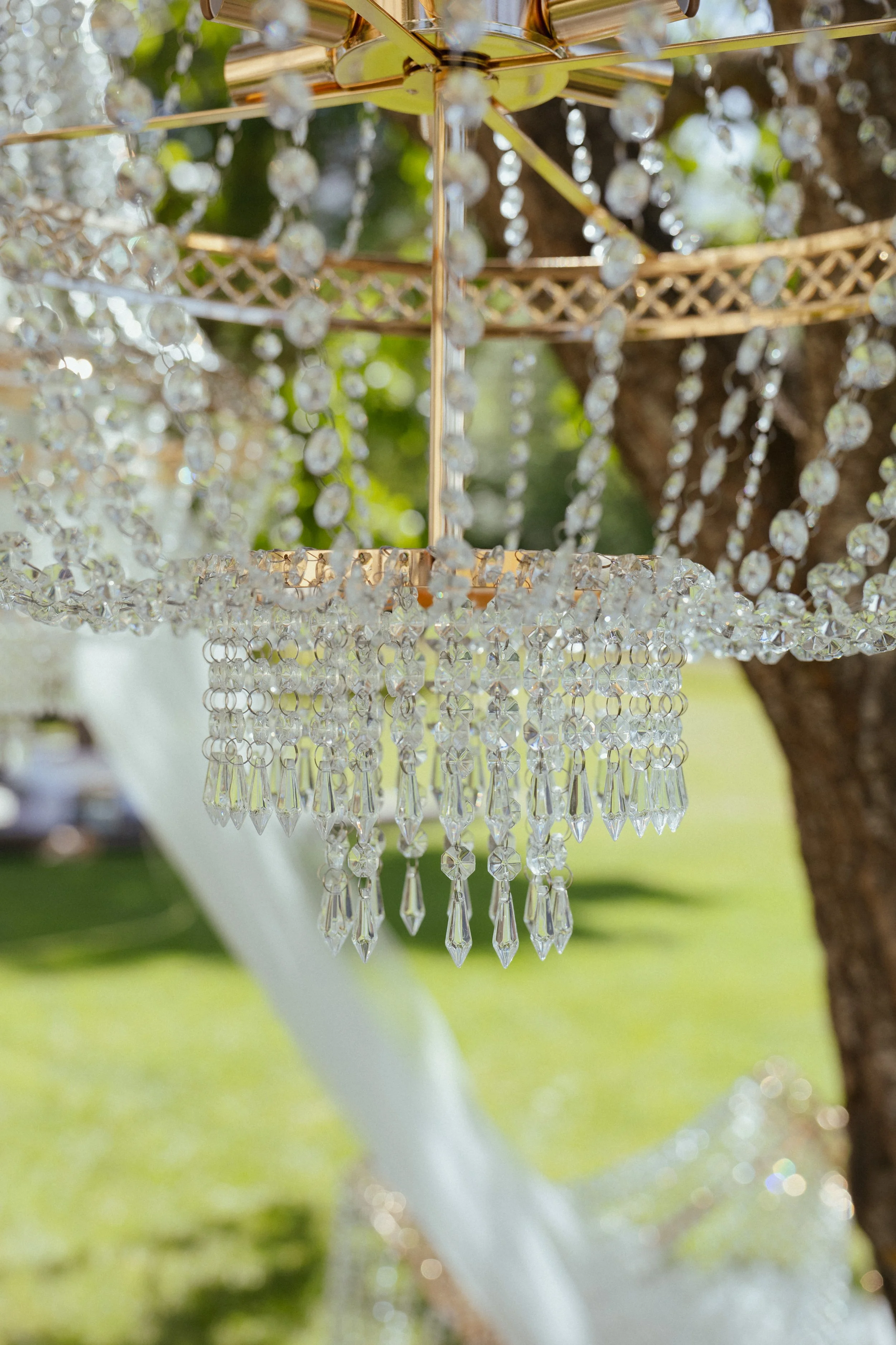 Cristal suspendu brillant accroché à un arbre, en plein air, avec un fond de feuillage et de lumière naturelle.