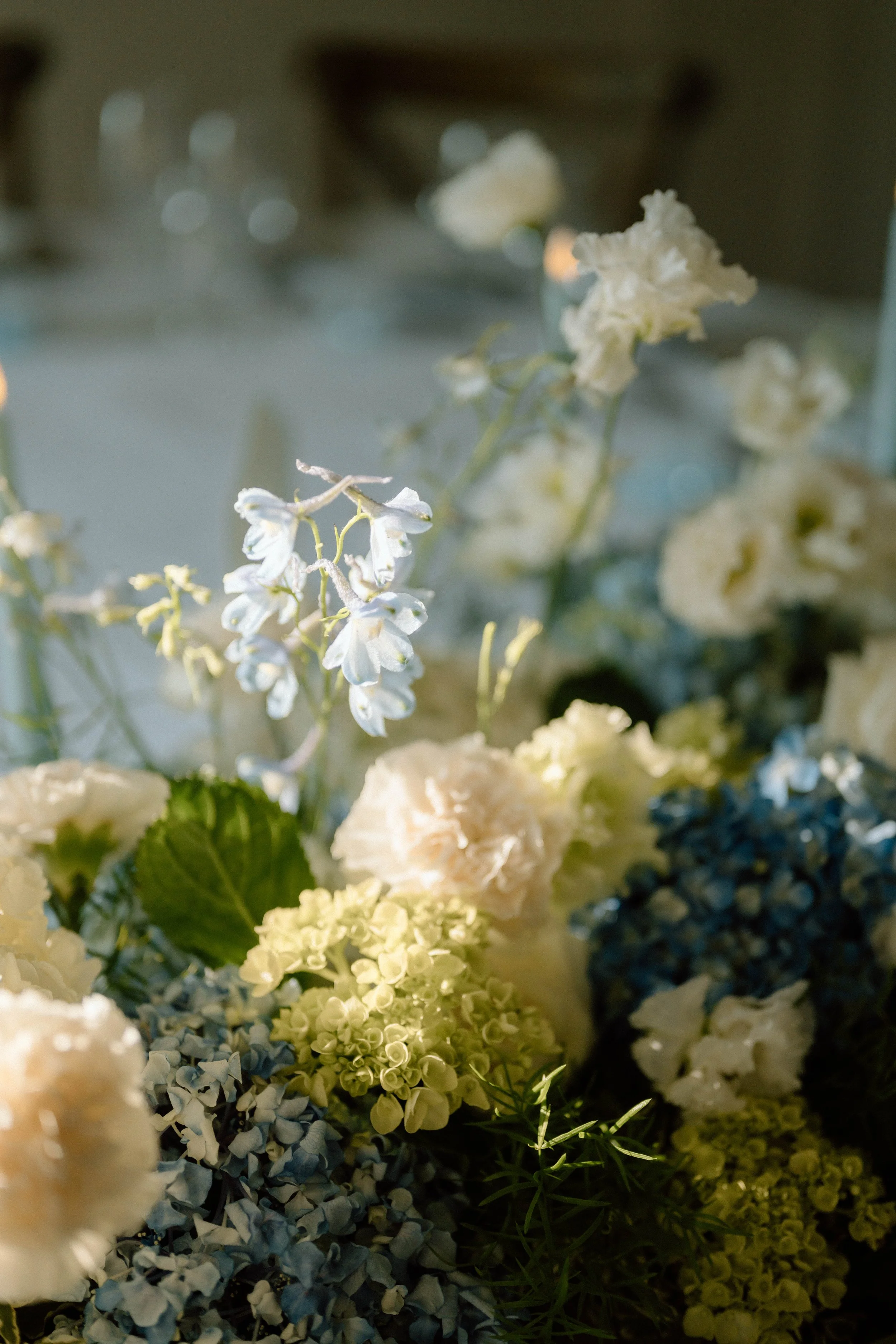 Un bouquet de fleurs blanches, bleues et vertes dans un cadre lumineux, avec un flou artistique en arrière-plan.