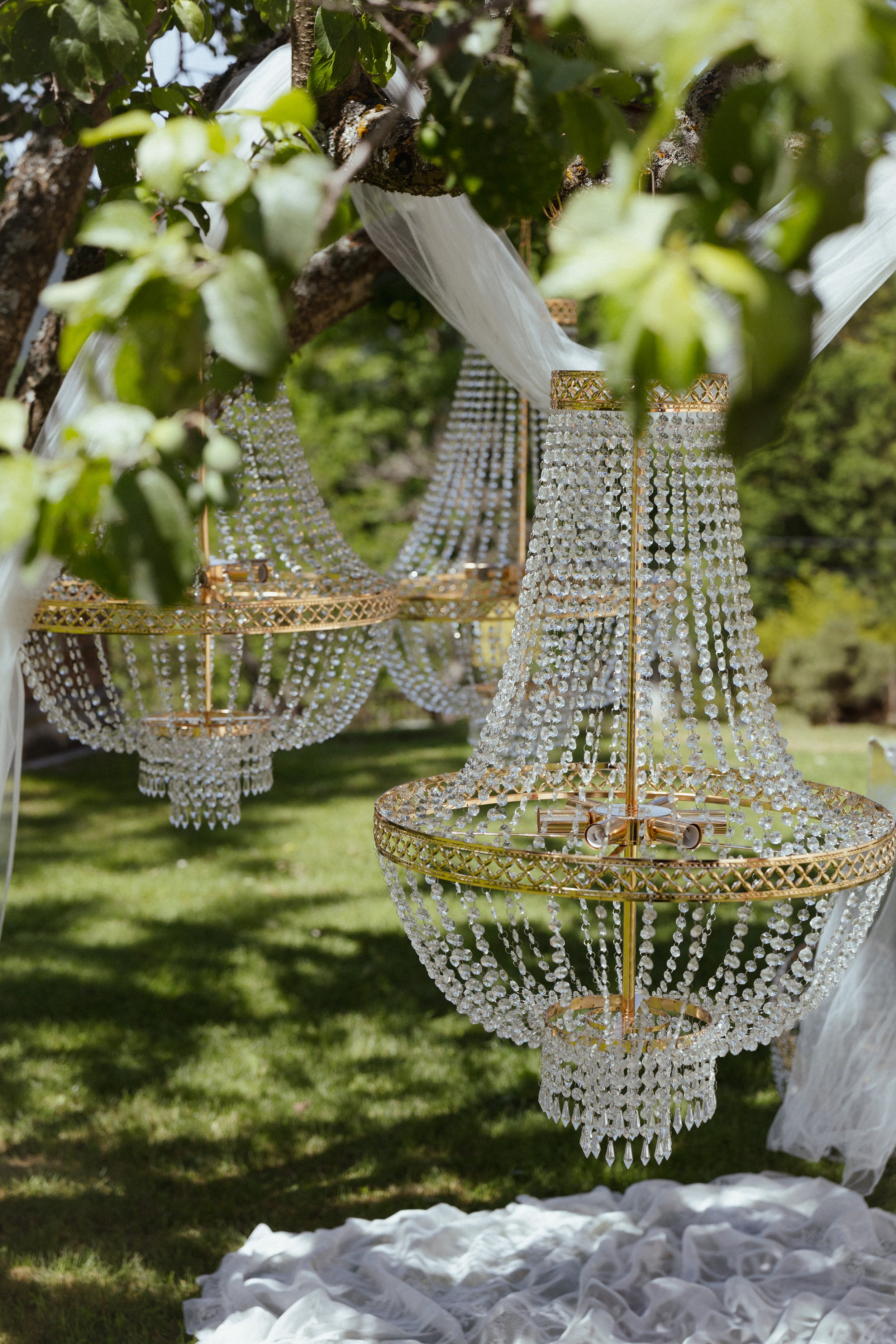 L'image montre des lustres en cristal suspendus aux branches d'un arbre lors d'une cérémonie en extérieur.