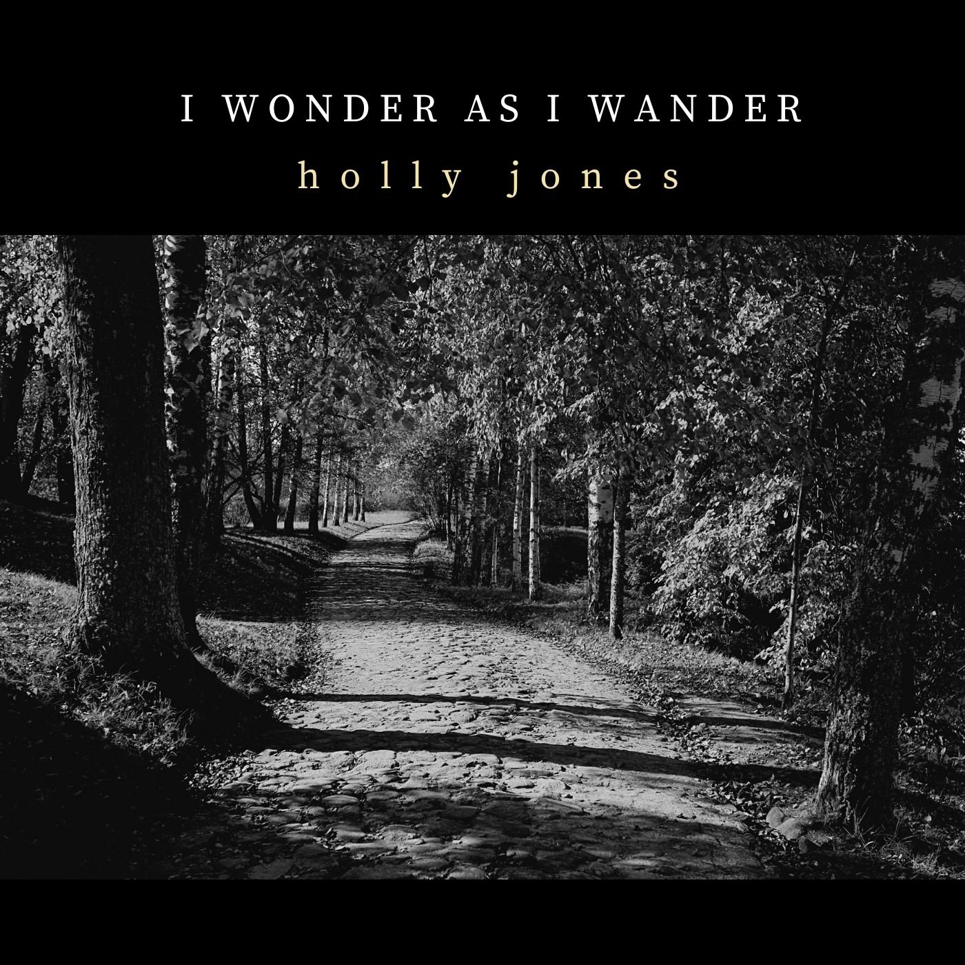 I Wonder As I Wander.jpg