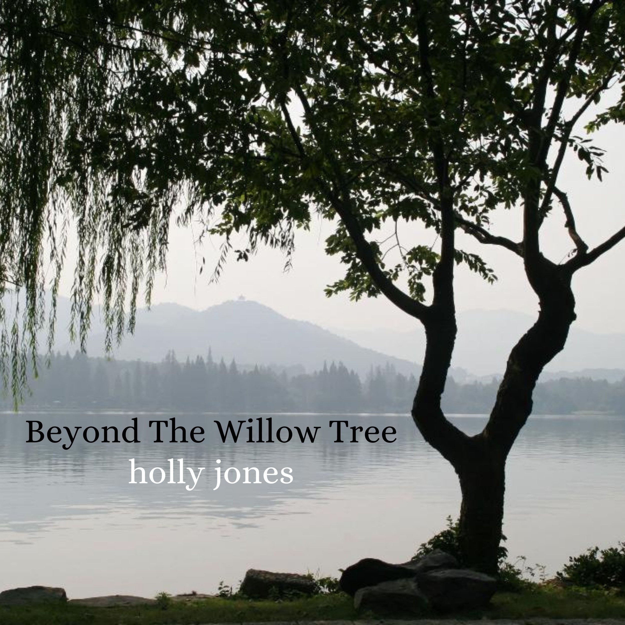Beyond the Willow Tree.jpg