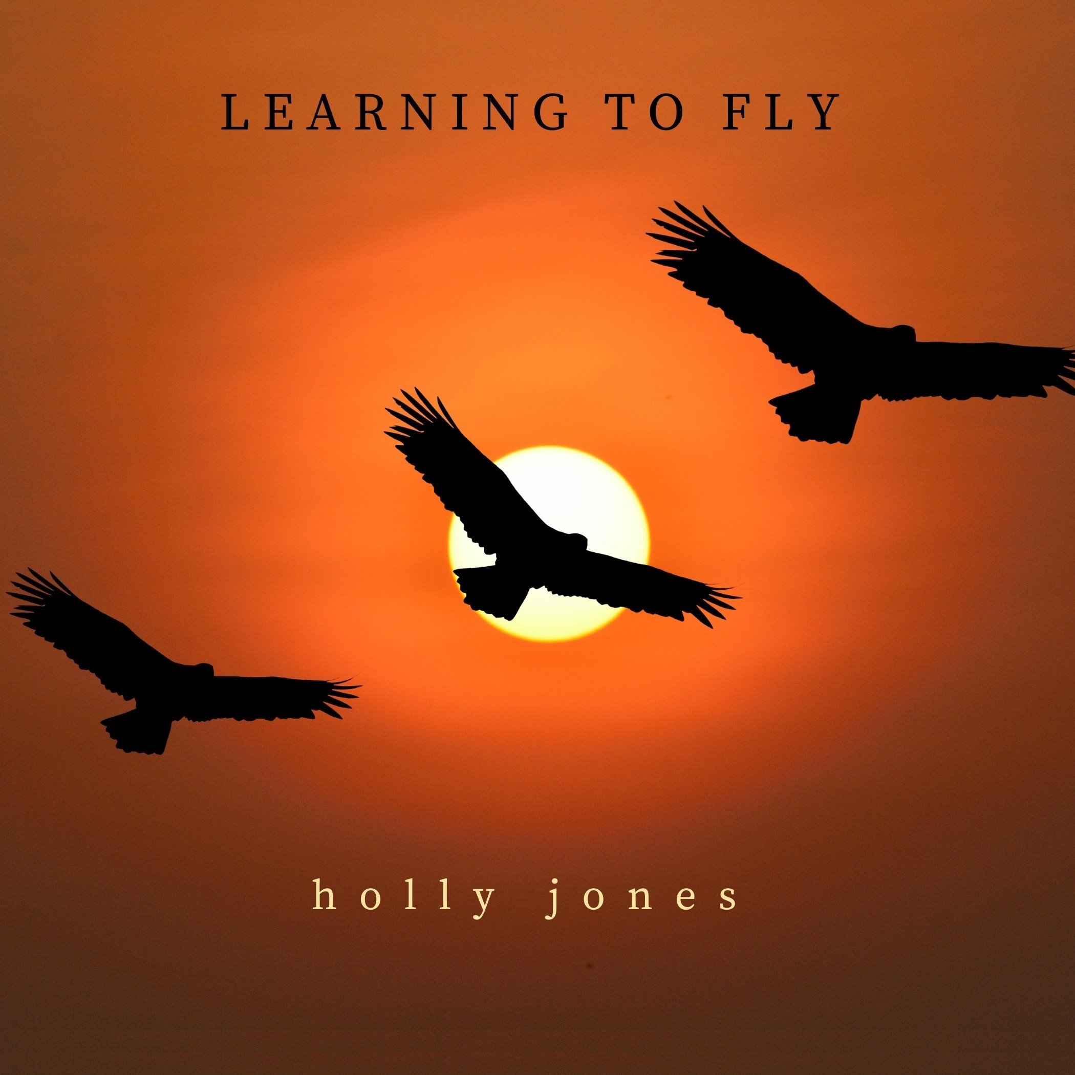Learning To Fly – Digital Audio Download
