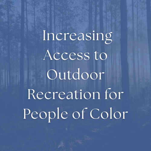 Writing Samples Sophie B. Murphy writing services.png