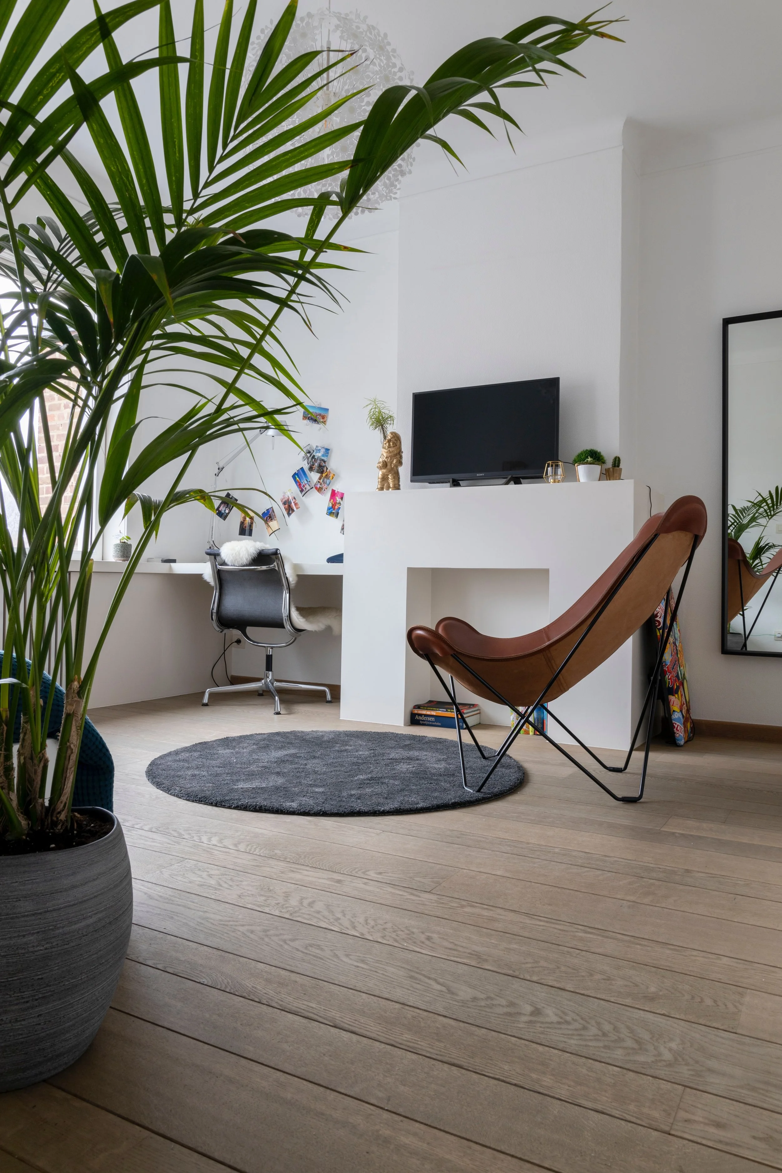 A modern home office with a large green potted plant in the foreground, a dark desk chair with a sheepskin throw, a white desk with photos hanging overhead, a black flat-screen TV on a white wall, and a brown leather lounge chair with a black metal frame, a circular dark gray rug, and a full-length mirror reflecting part of the room.