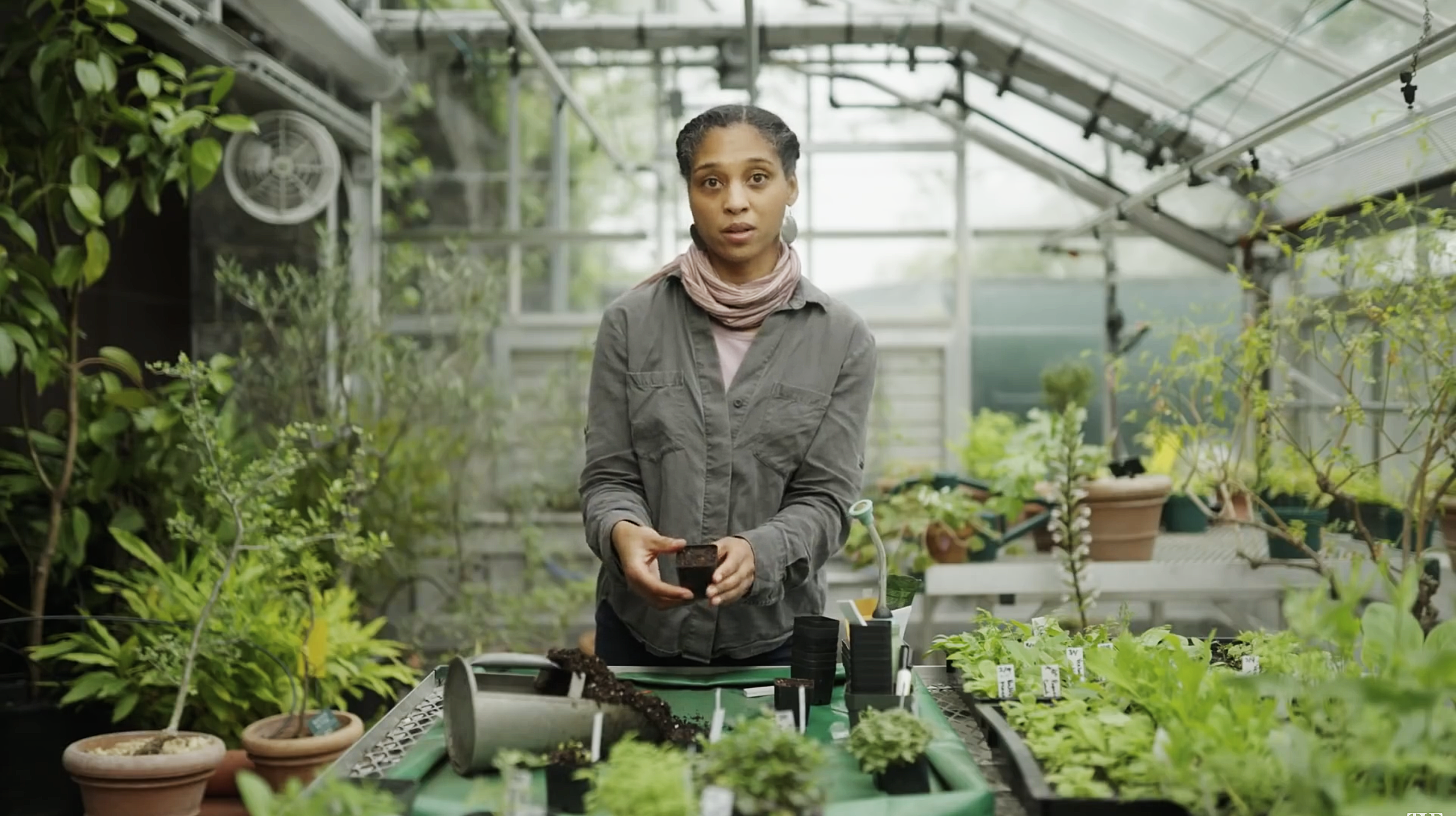 The Met | Highlights of the Cloisters