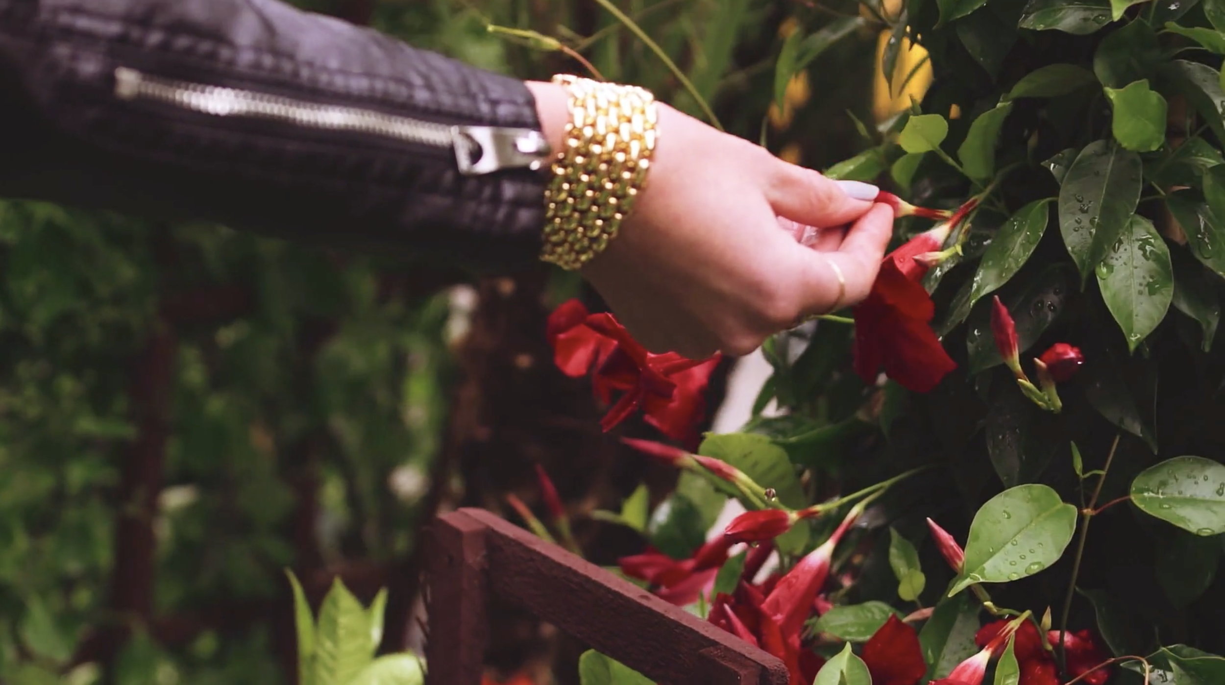 Guess | Destination Sexy