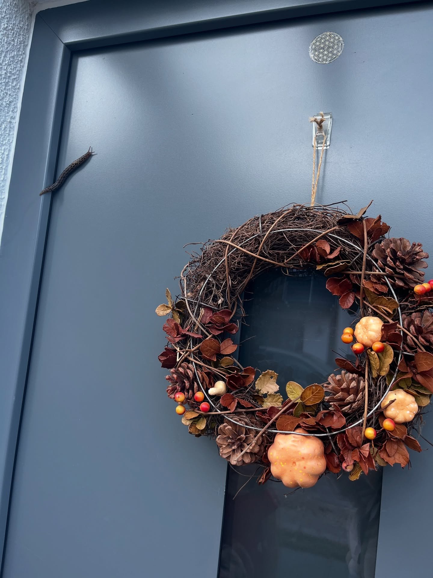 Heute mal mit Dialekt weil im Herzen der Schwabe steckt 😂😂

Heit hockt an meiner Haust&uuml;r a Tigerschnegel.
Uf den erschte Blick vielleicht blo&szlig; a Schnegel &ndash;
aber f&uuml;r mi isch des a Botschafter.

Sei Botschaft:
🌱 &bdquo;Mach hal