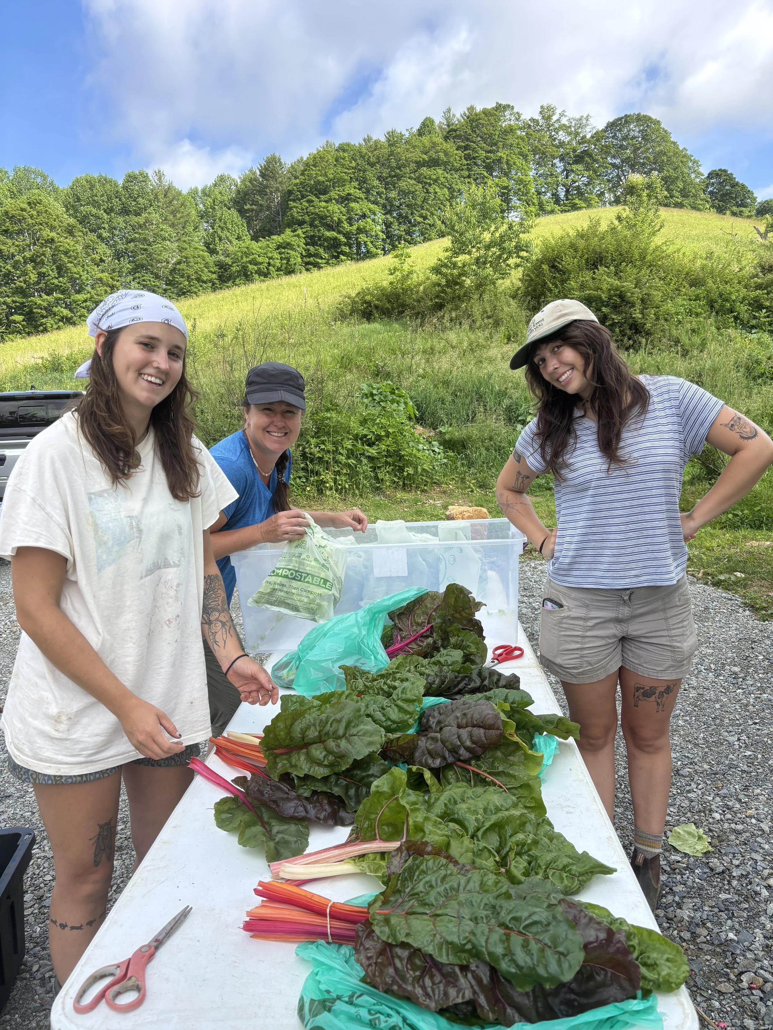 Springhouse Farm Internship, Vilas, NC.JPG