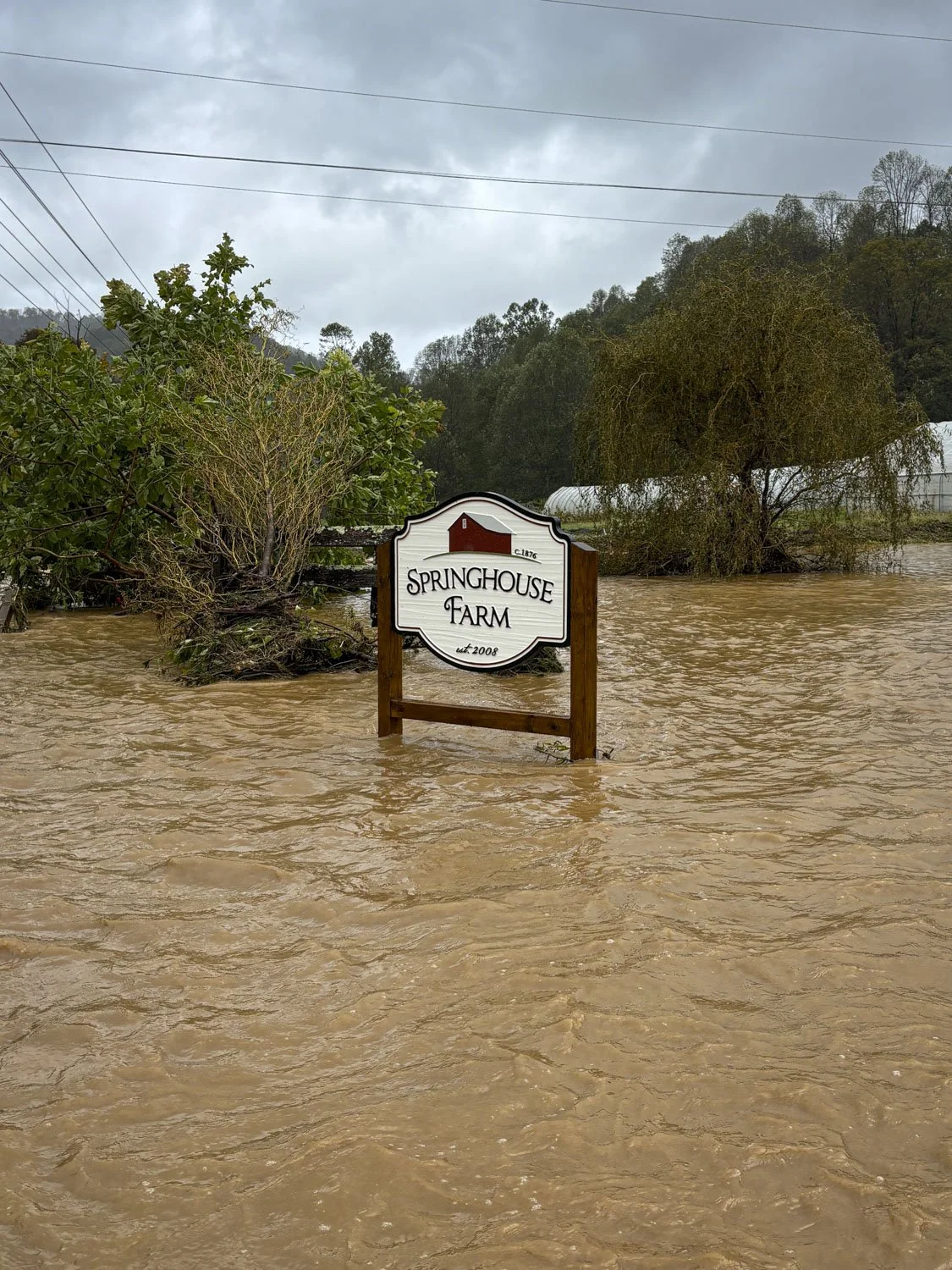 Storm Recovery at Springhouse Farm, Vilas and Boone NC-7.JPG