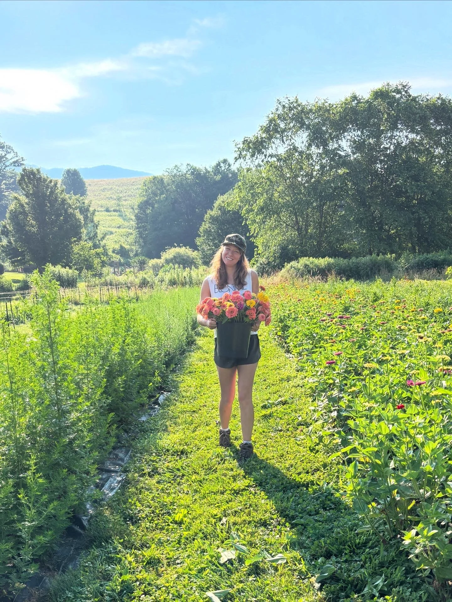 Intern Harvesting Flowers, Springhouse Farm, Vilas, NC.JPG