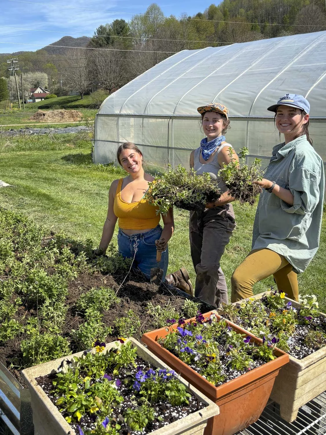 Volunteers and Interns, Springhouse Farm, Boone NC-4.JPG