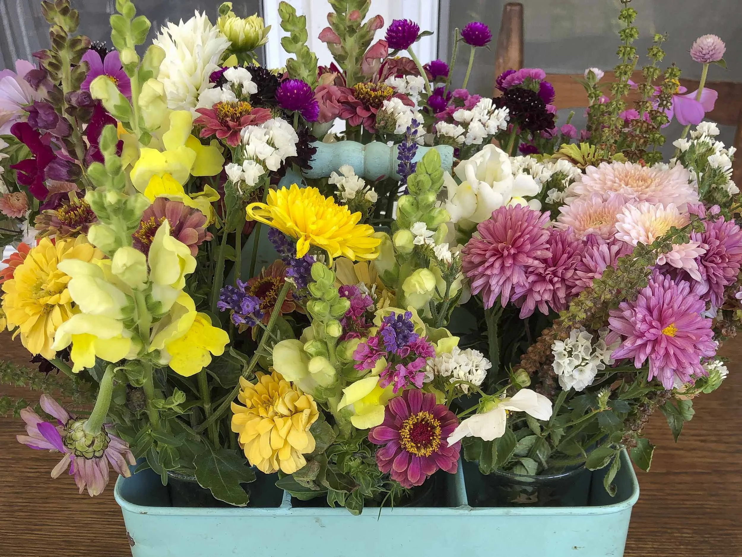 Locally Grown Fresh Cut Farm Flowers, Springhouse Farm, Boone NC-6.JPG