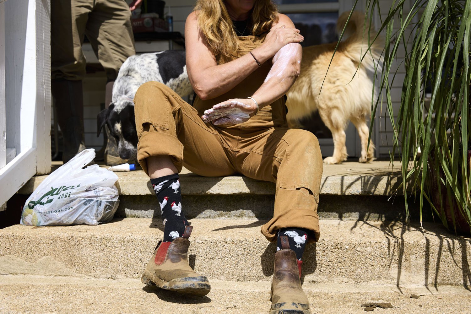 Storm Recovery at Springhouse Farm, Vilas and Boone NC-6.JPG