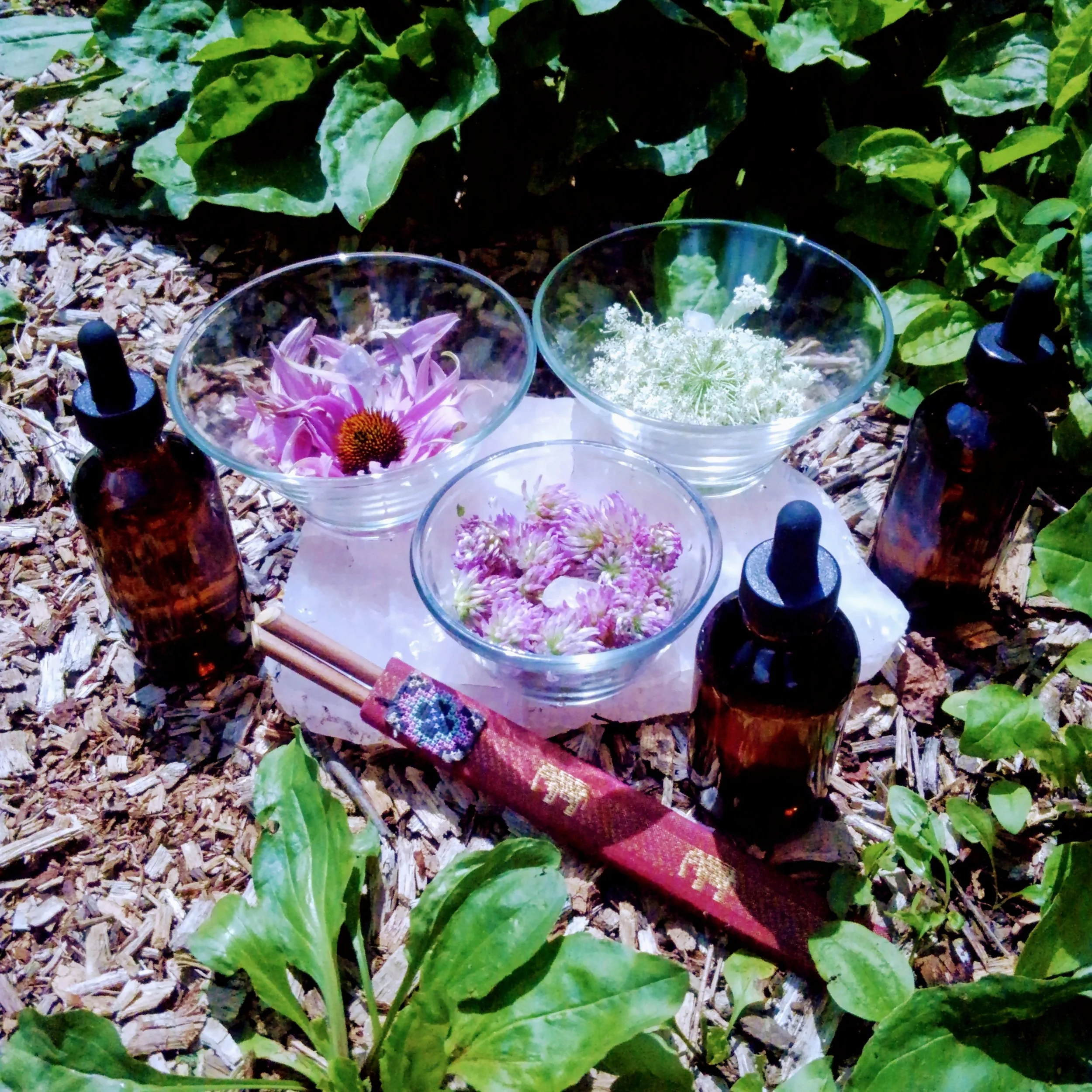 Flower Essence Class