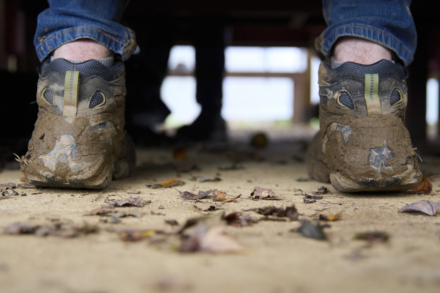 Storm Recovery at Springhouse Farm, Vilas and Boone NC-5.JPG
