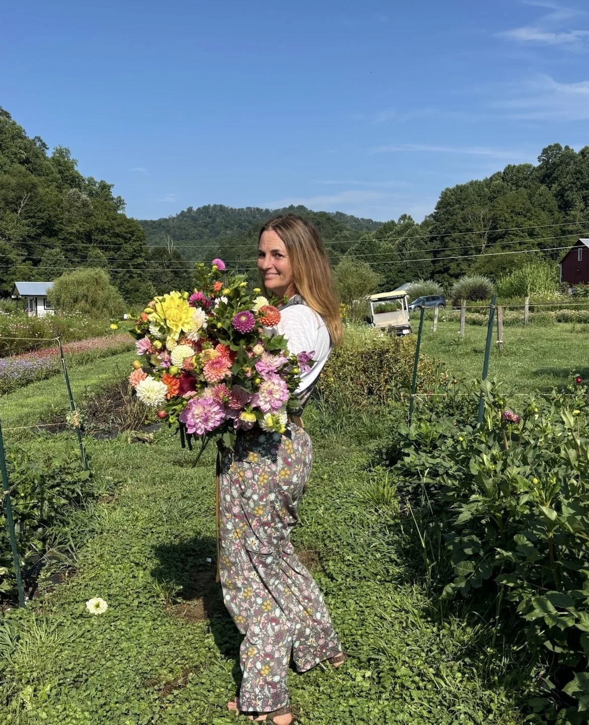 Farmer Amy Harvests Flowers, Springhouse Farm, Boone, NC.JPG