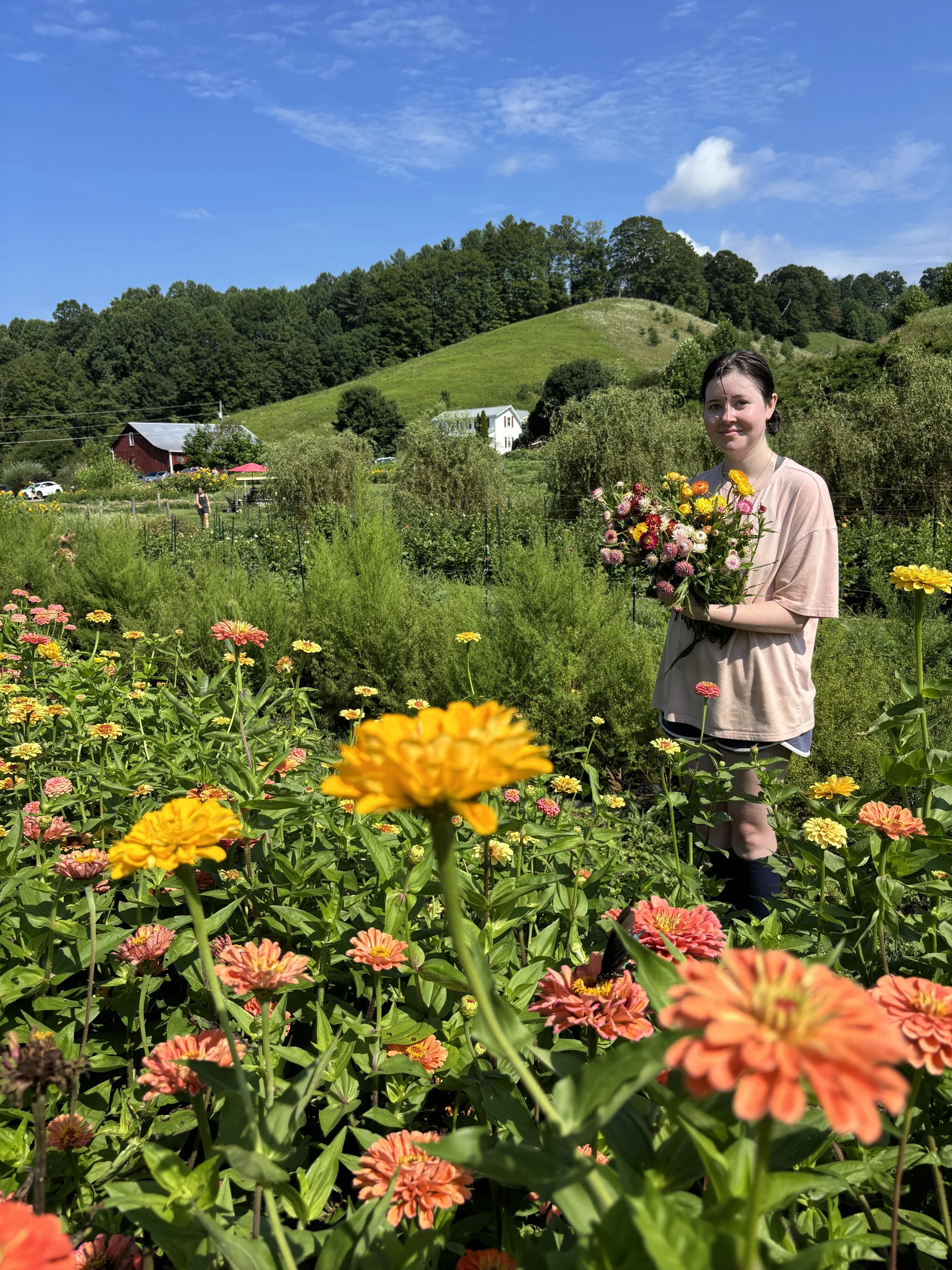 Picking Flowers, Springhouse Farm, Watauga County, NC.JPG
