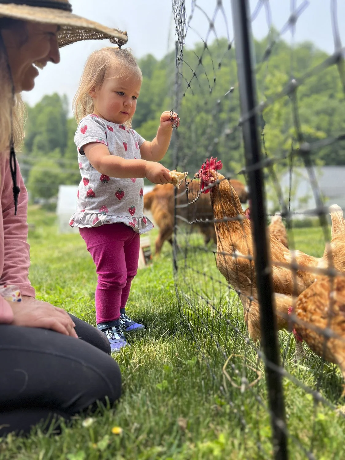 Outdoor Children's Party on Flower Farm, Springhouse Farm, Boone NC-2.JPG