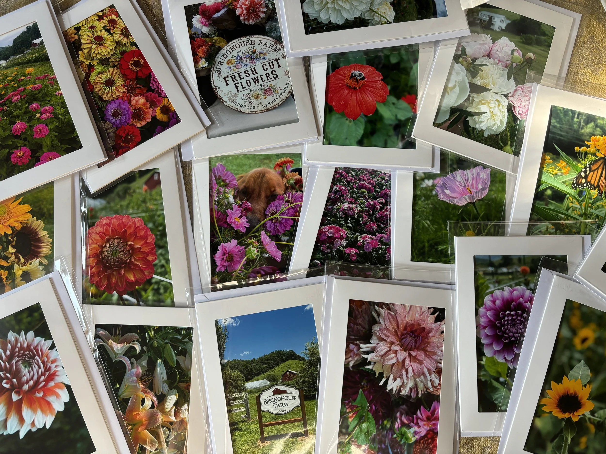 FLOWER FARM CARDS
