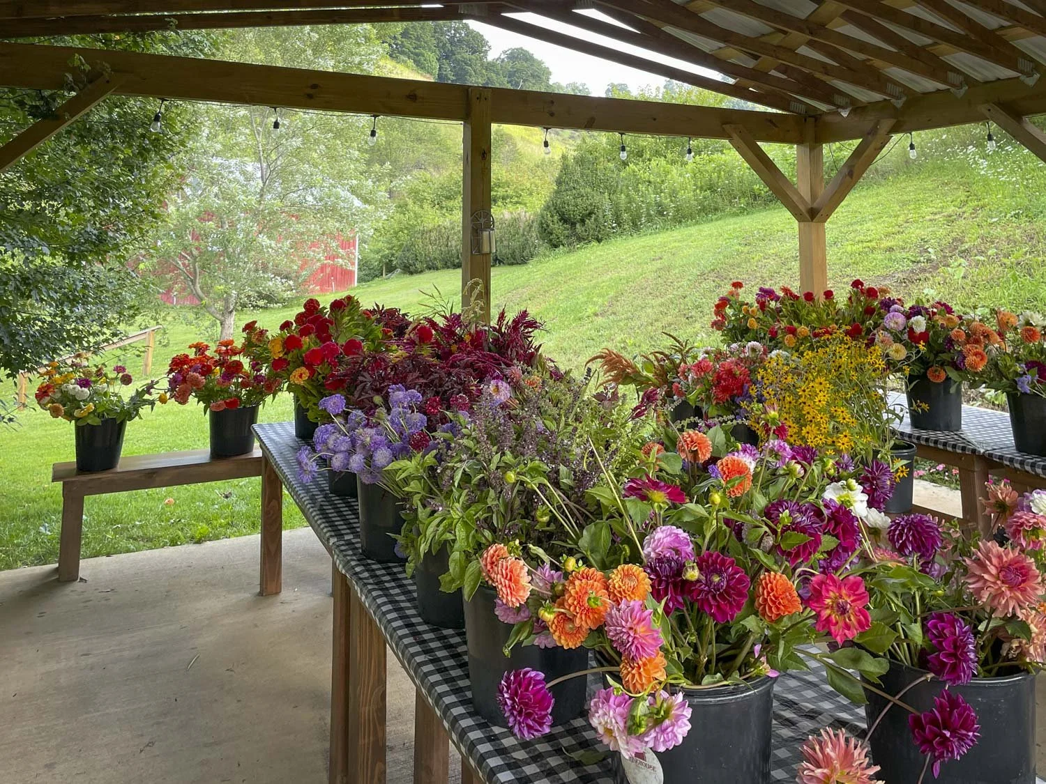 Farmer's Market Display, Springhouse Farm, Boone NC-10.JPG