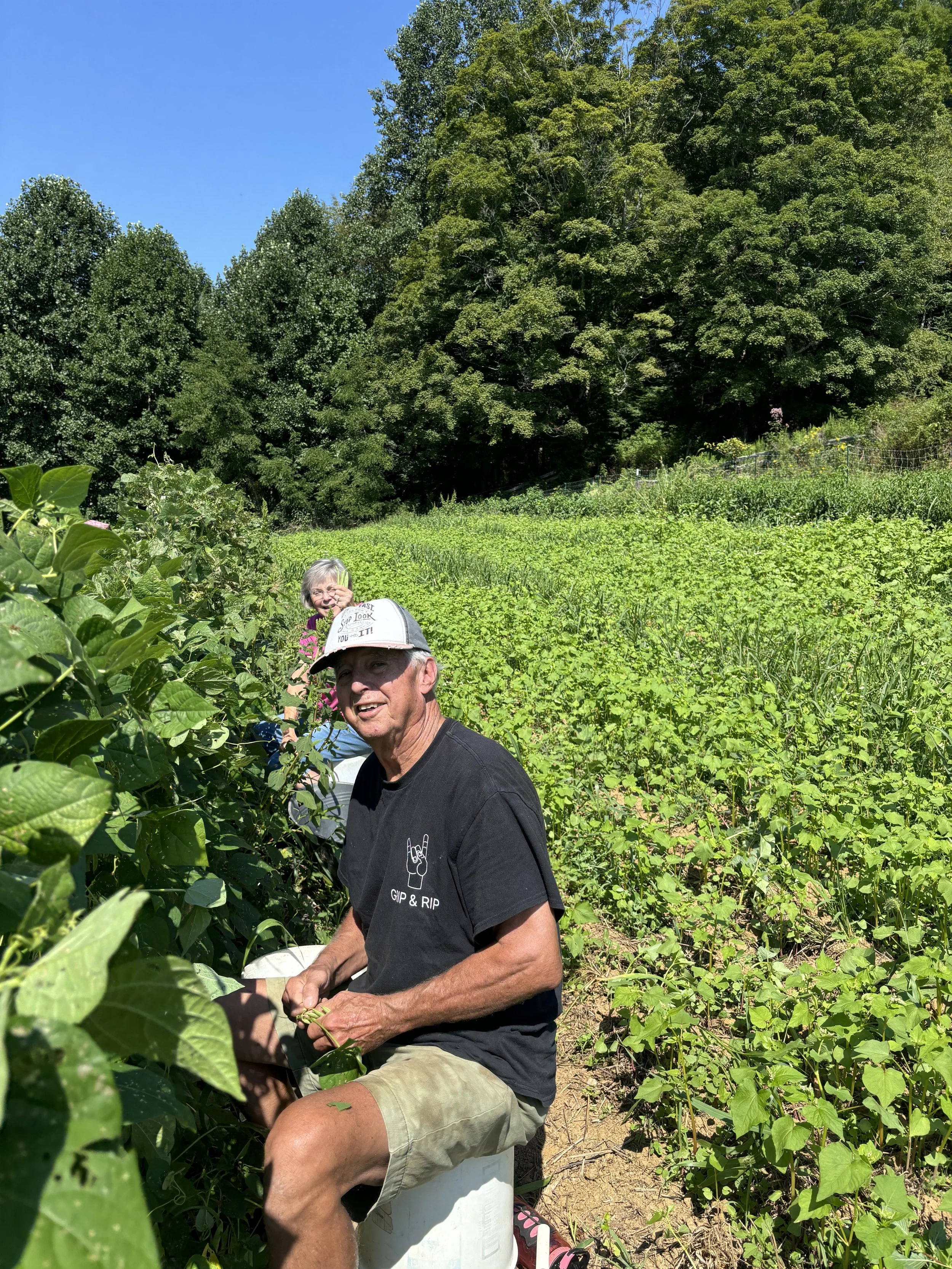 Volunteer, Springhouse Farm, Boone, NC.jpeg