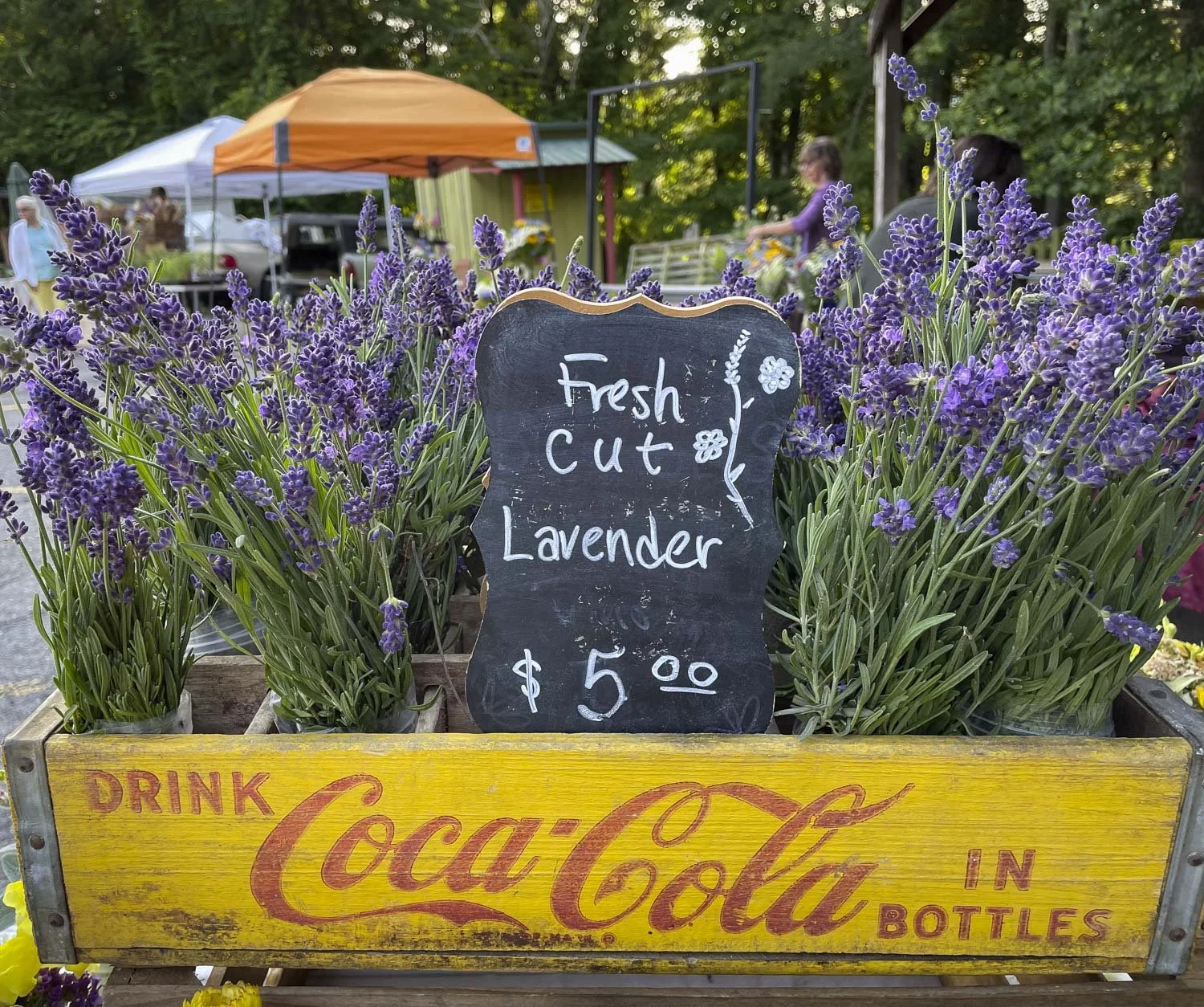 Farmer's Market Display, Springhouse Farm, Boone NC-2.JPG