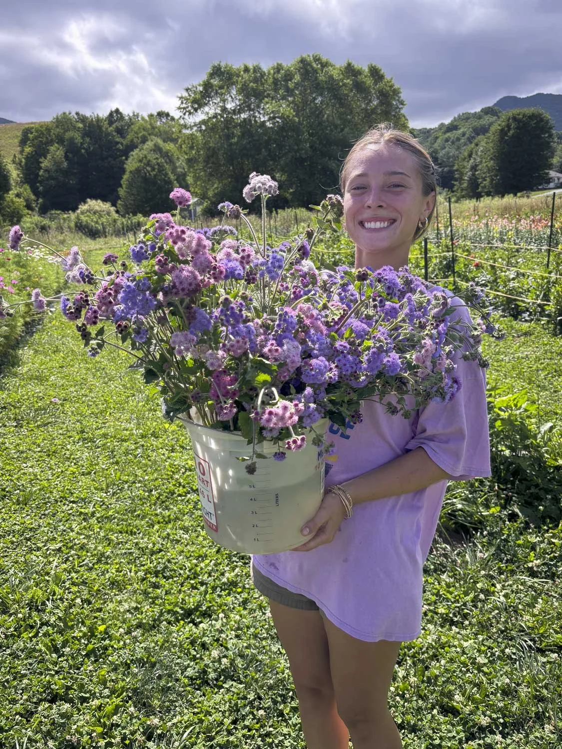 Springhouse Farm | You-Pick Flowers, Farm Events & Farm Stand in Vilas ...