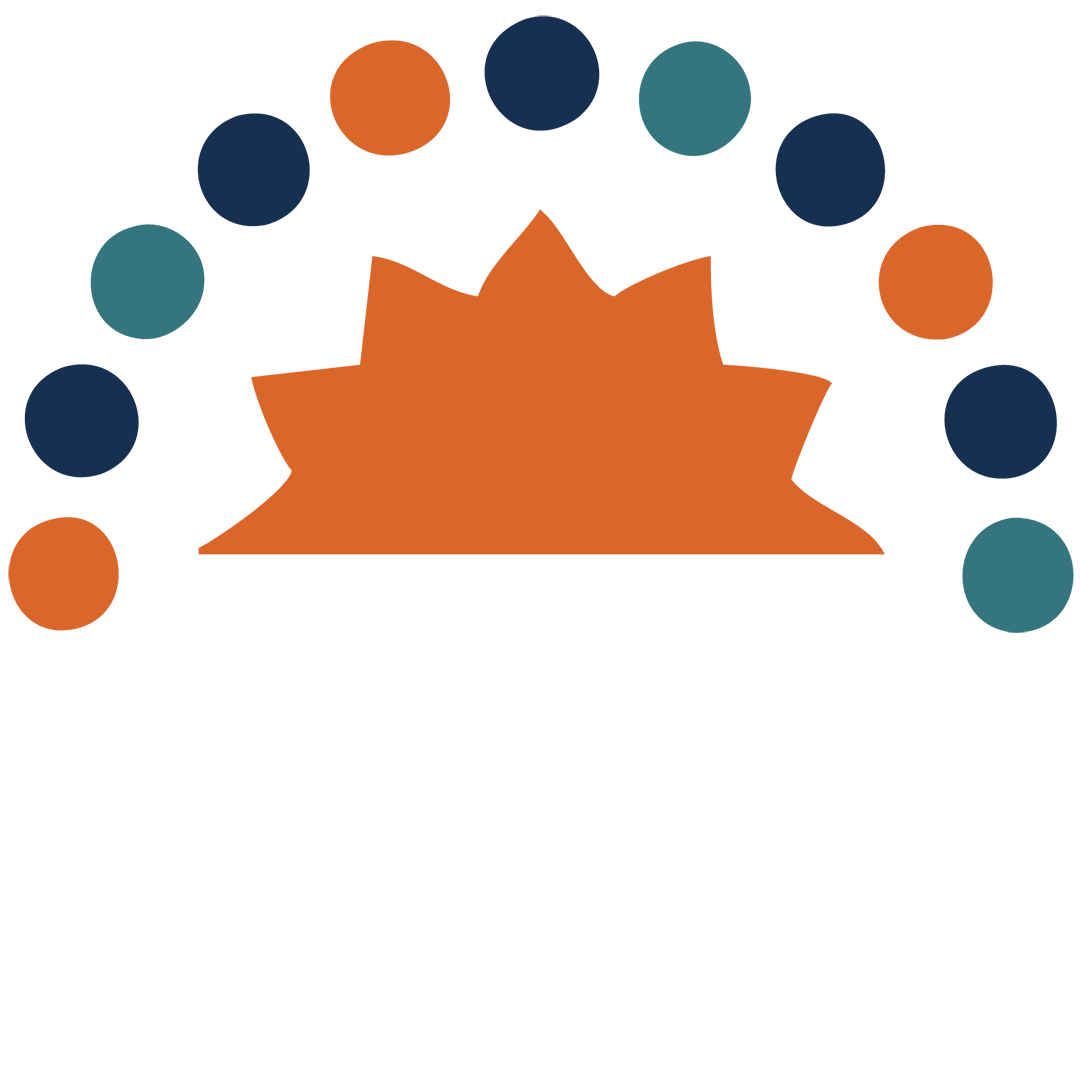 Logo with a stylized orange shape and a semicircle of multicolored dots above it, accompanied by the text "The Conference" and "2024".