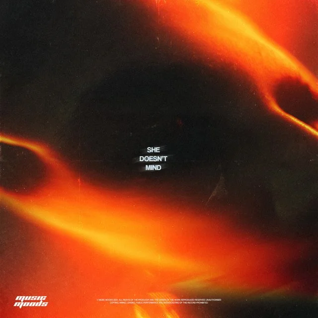 Album cover of "She Doesn't Mind" by Fynn Royall, ill Fayze, and wania, orange and black abstract background with the text "She Doesn't Mind" in the center.