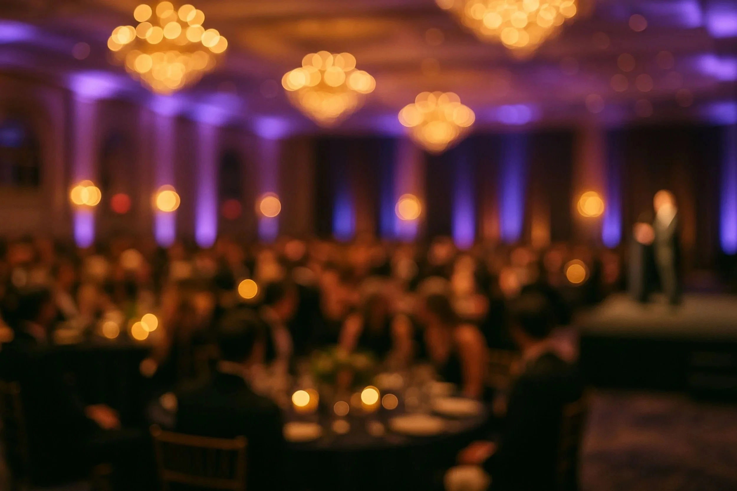 Annual Fundraising Gala