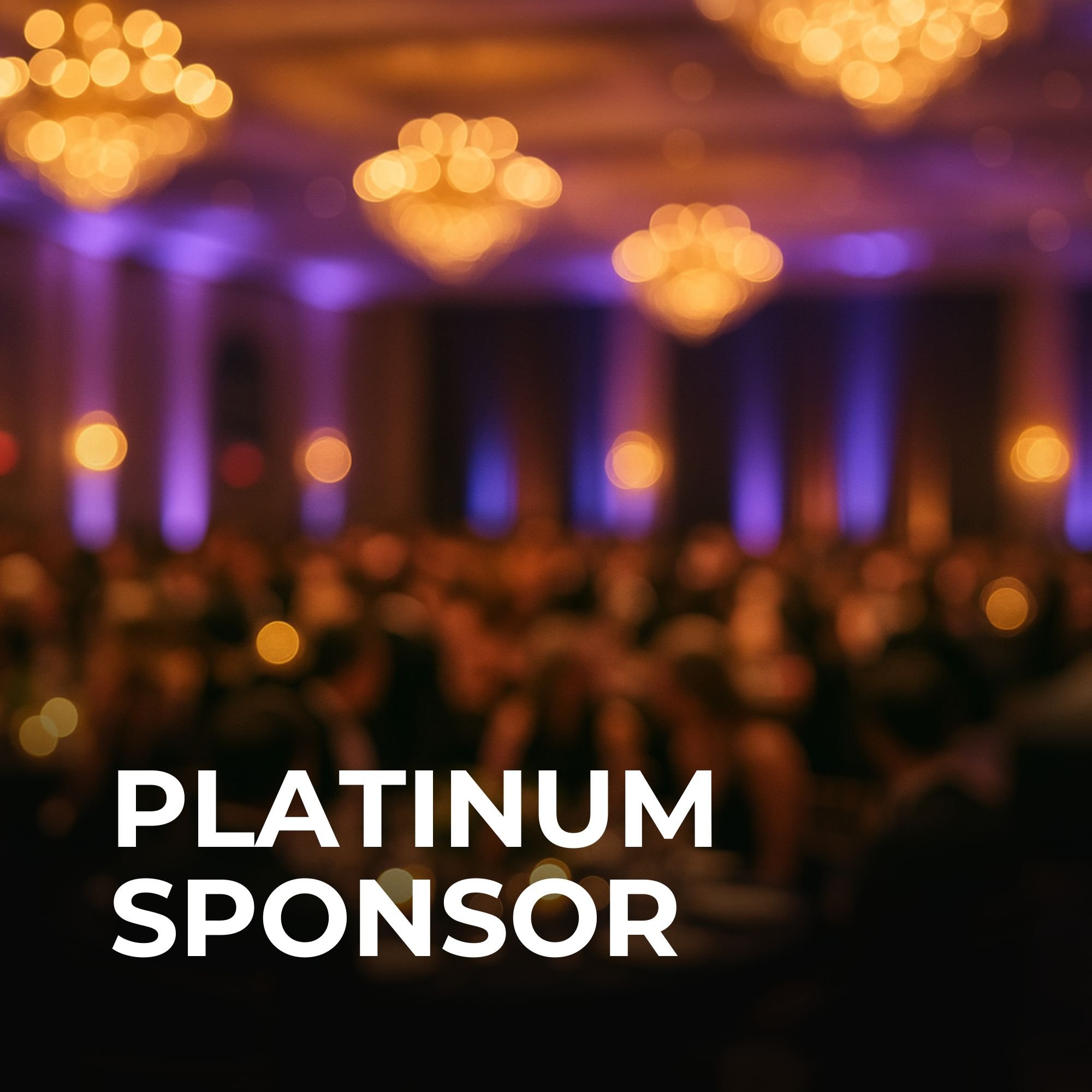 Platinum Sponsorship